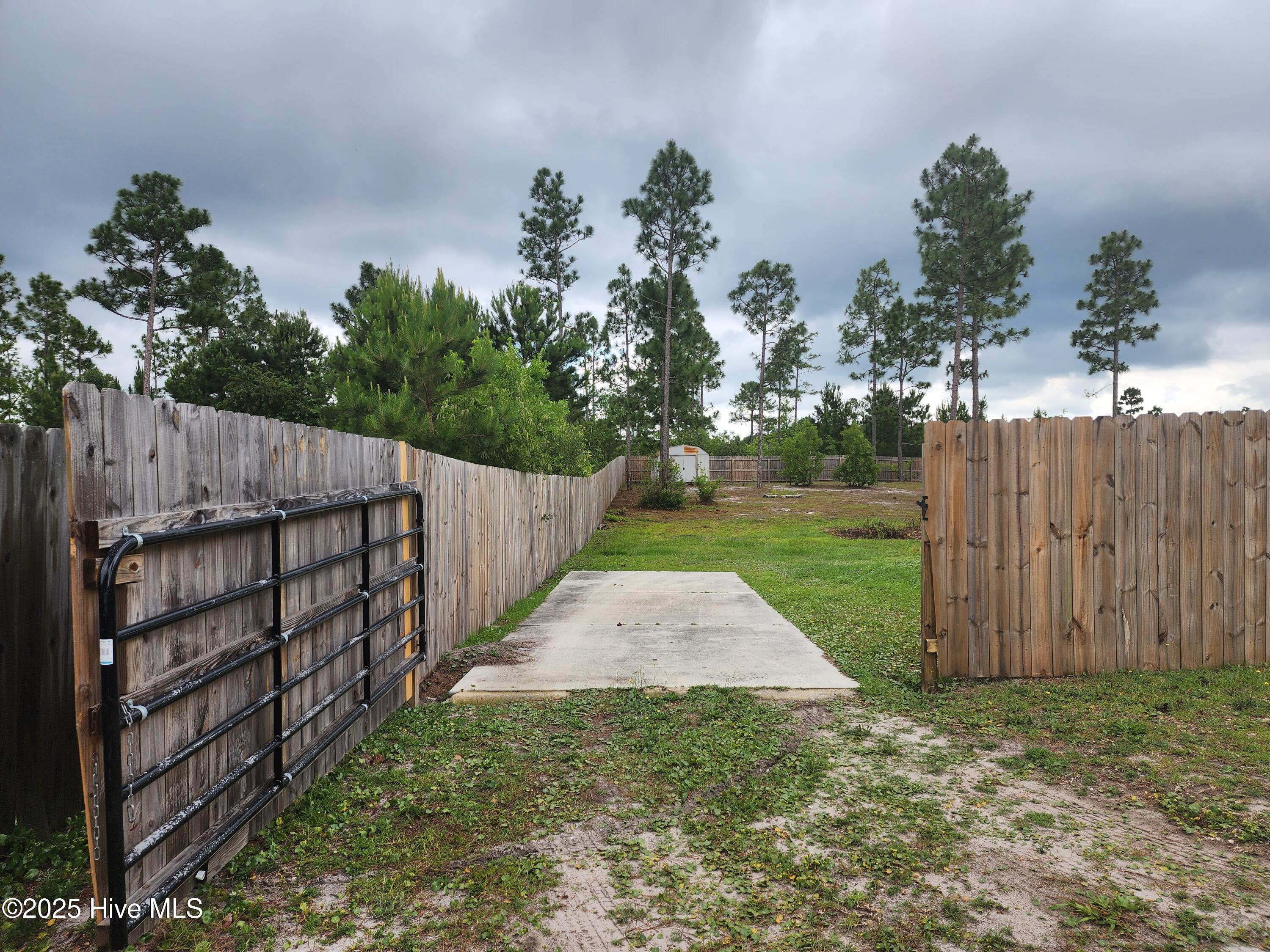 100563623 | Photo 32