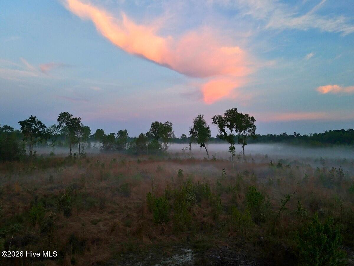 0 Durwood Evans Road, Beulaville, NC, 28518