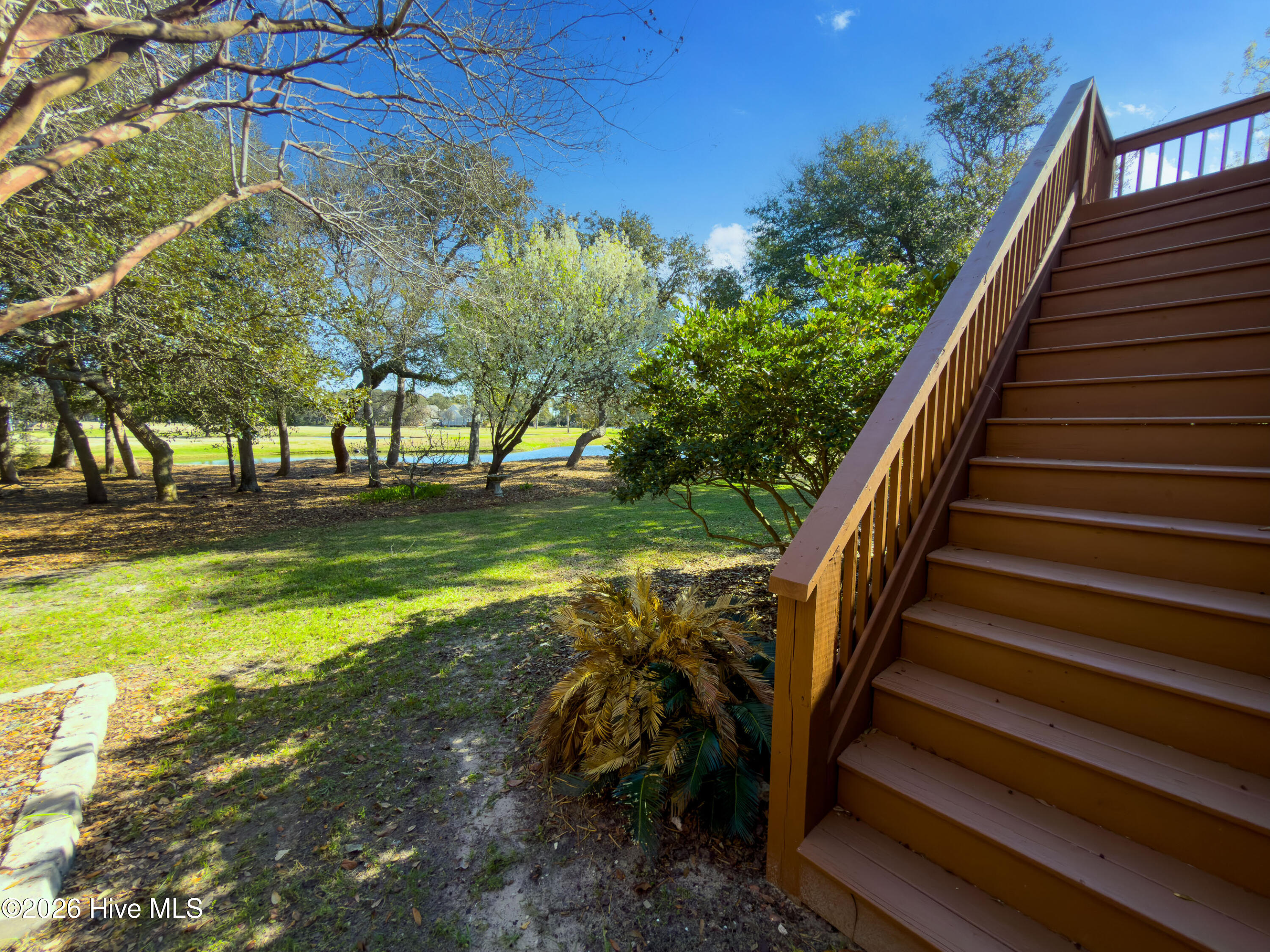 100561643 | Photo 50