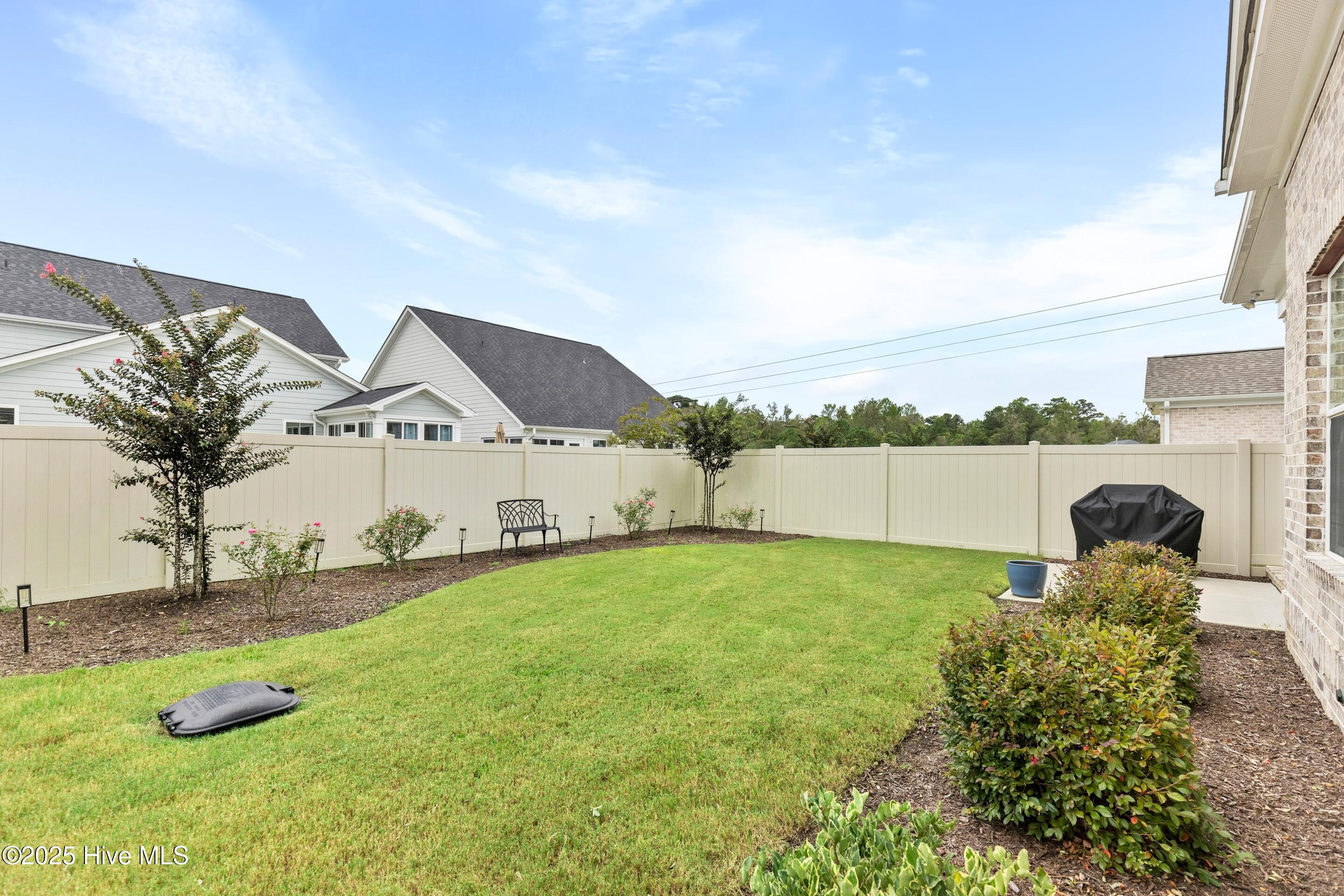 100554494 | Photo 43