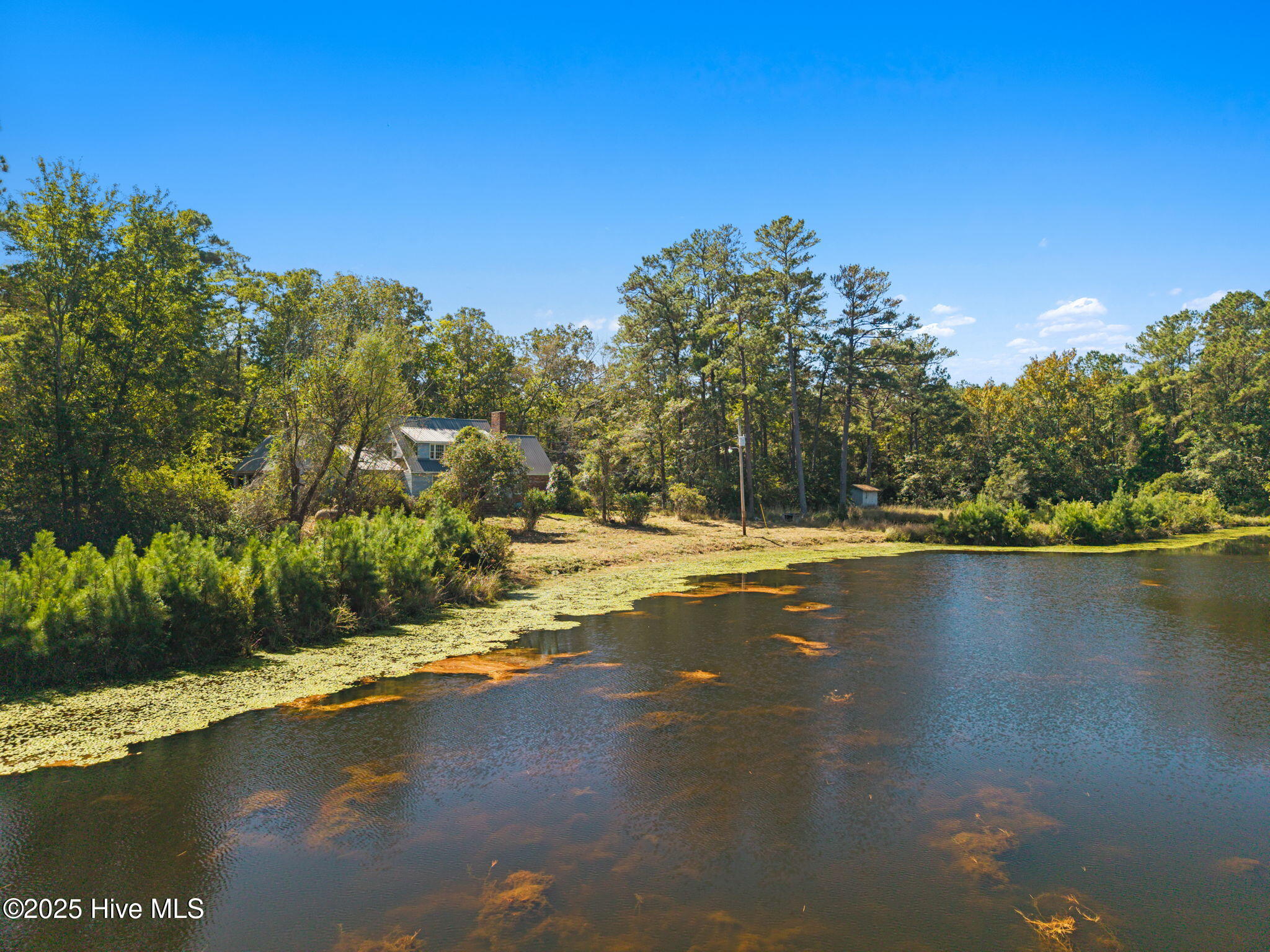 100538518 | Photo 17