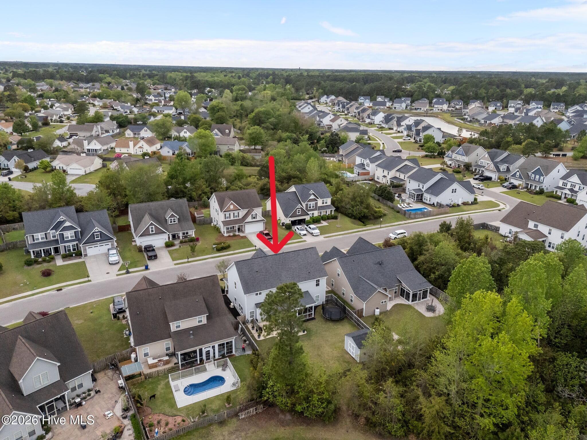 100565908 | Photo 40