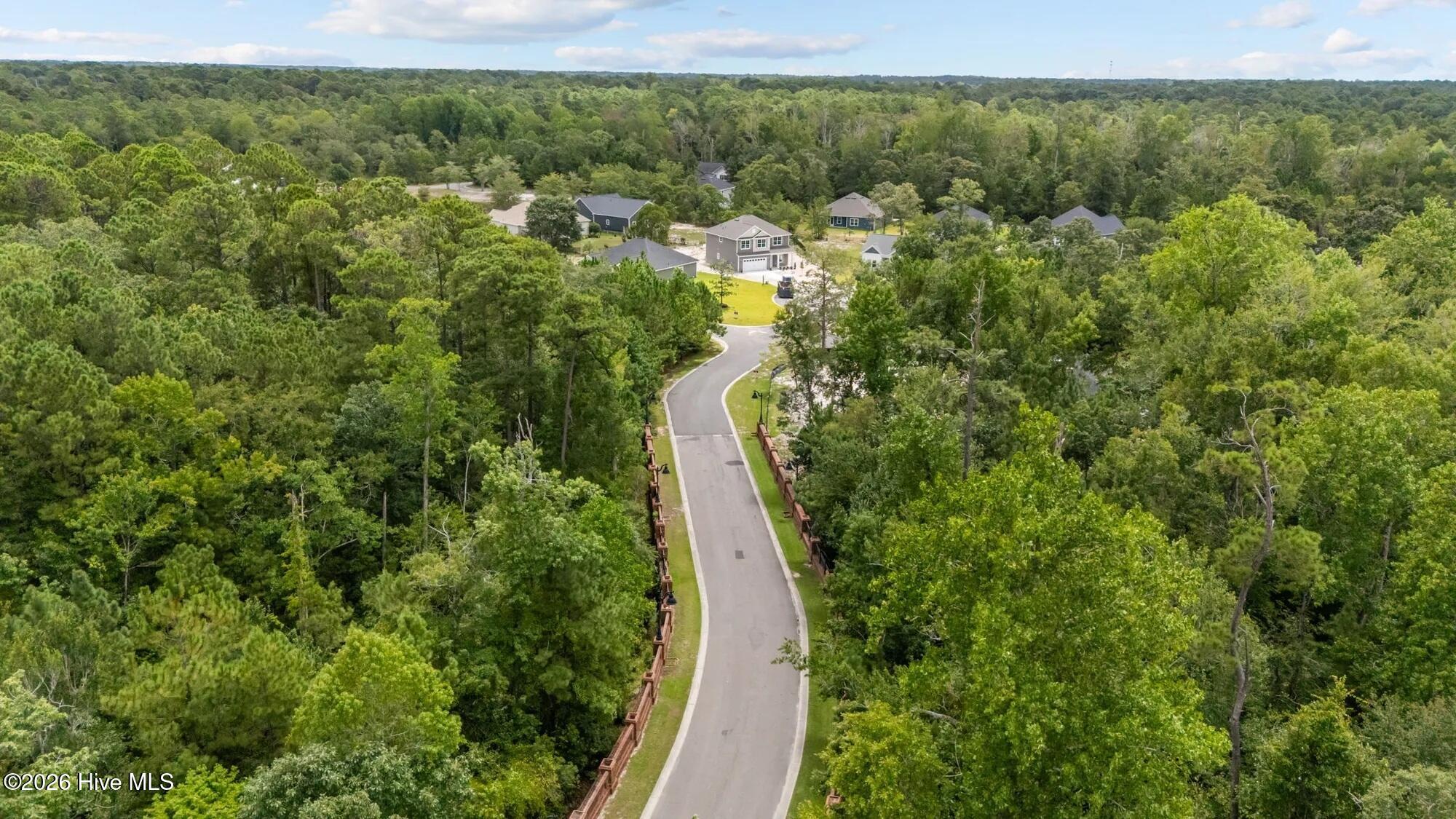 100563265 | Photo 23