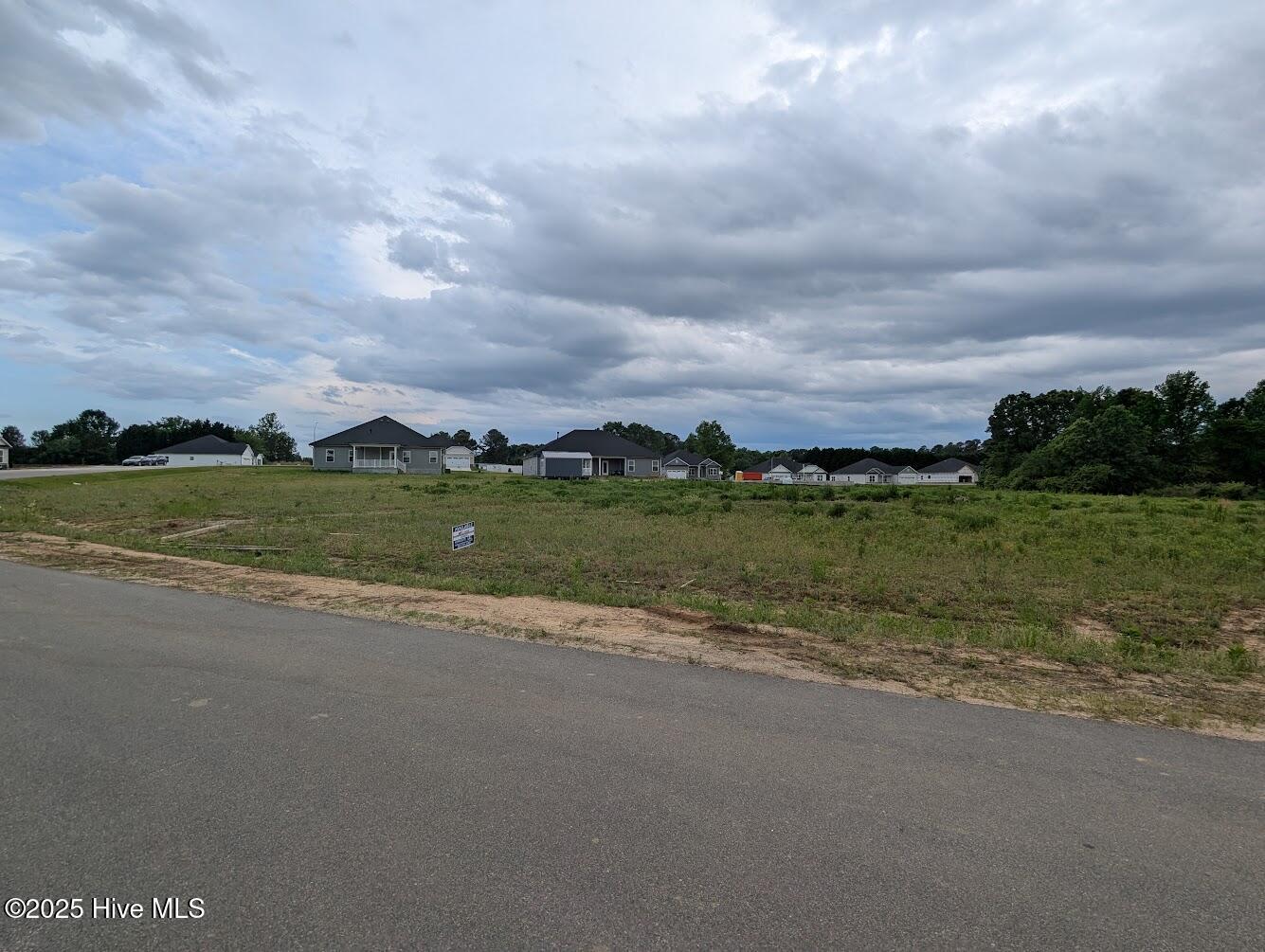 1590 Pecan Drive UNIT lot 45, Nashville, NC, 27856