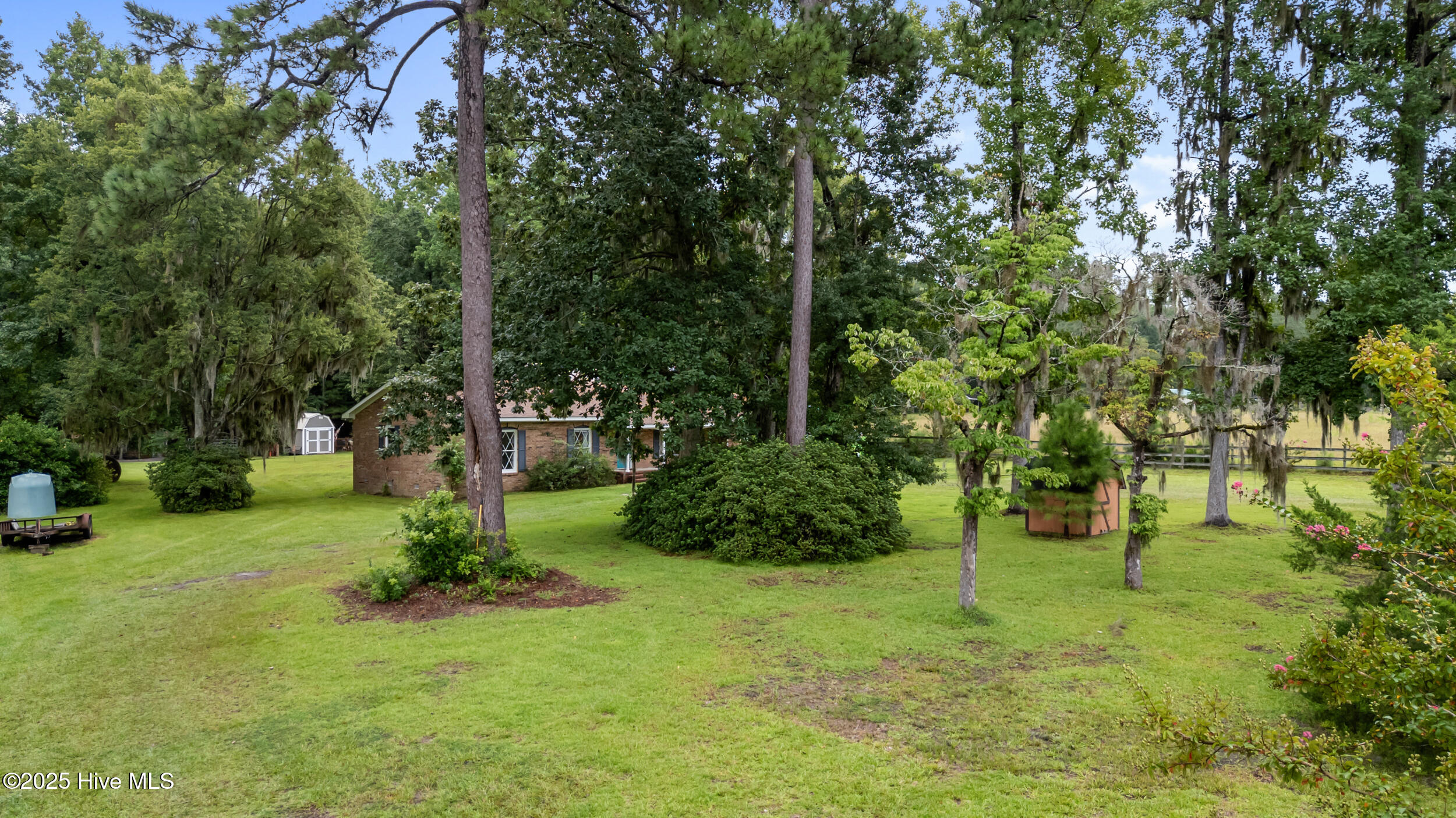 100524507 | Photo 50