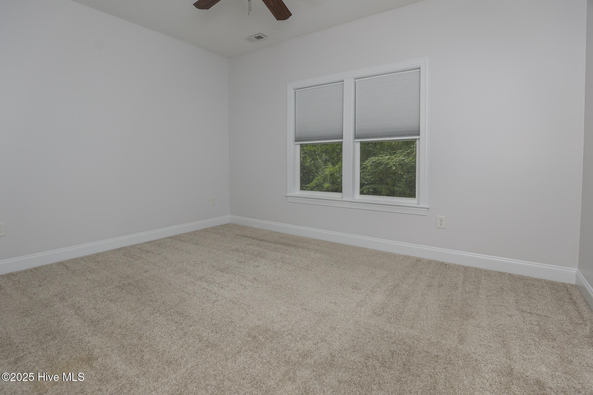 100530782 | Photo 16