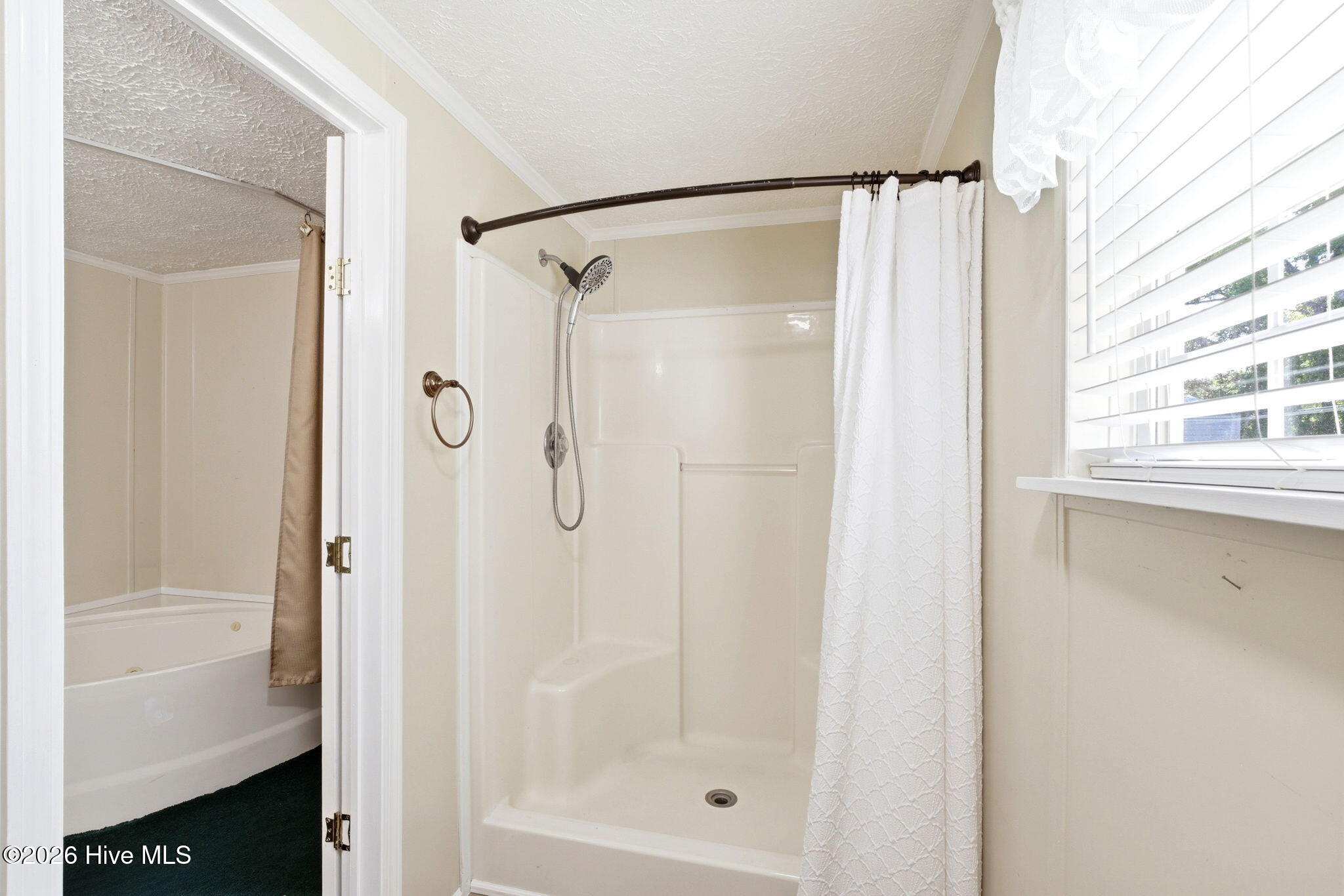 100568157 | Photo 32