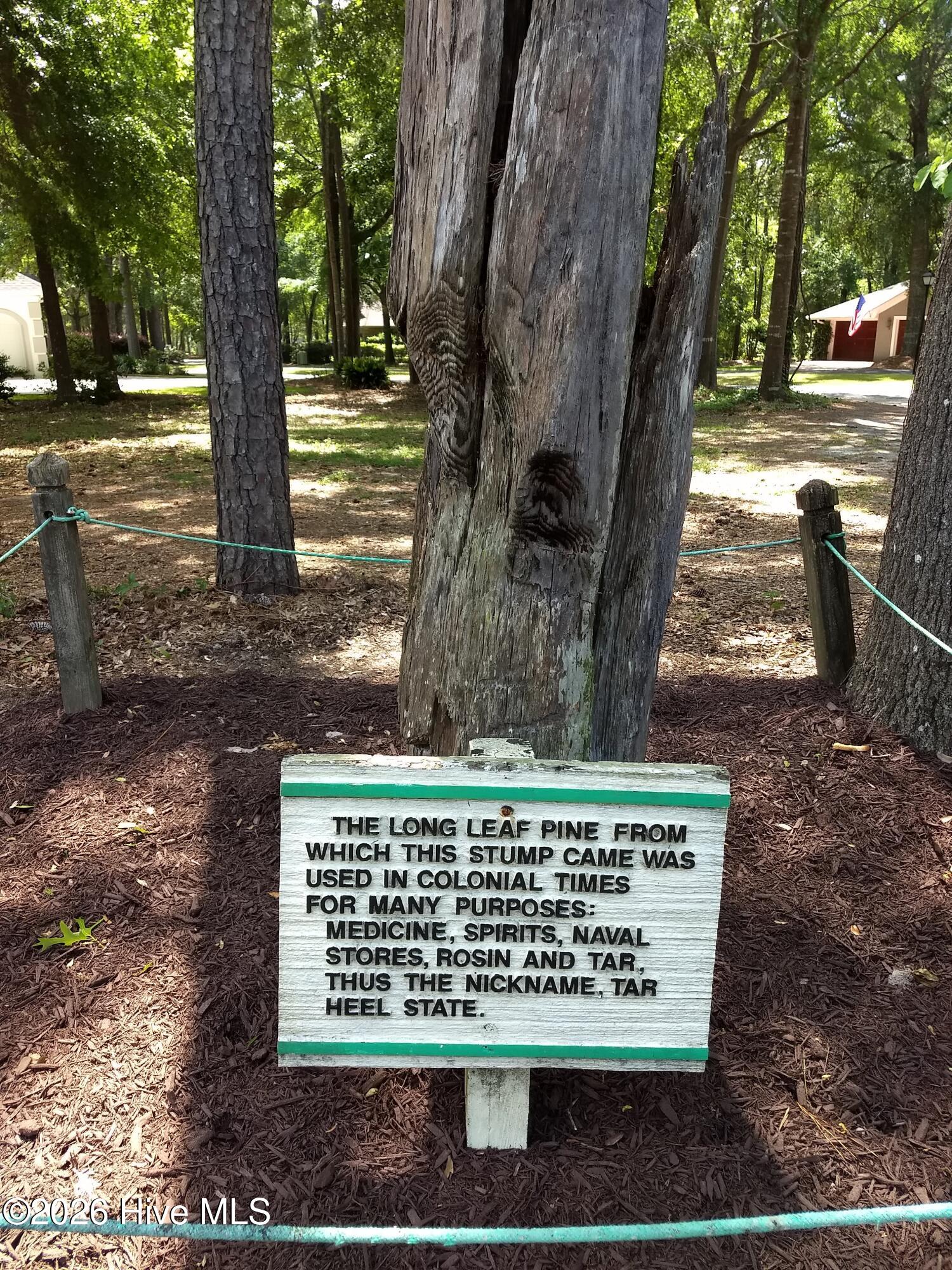 100566261 | Photo 32