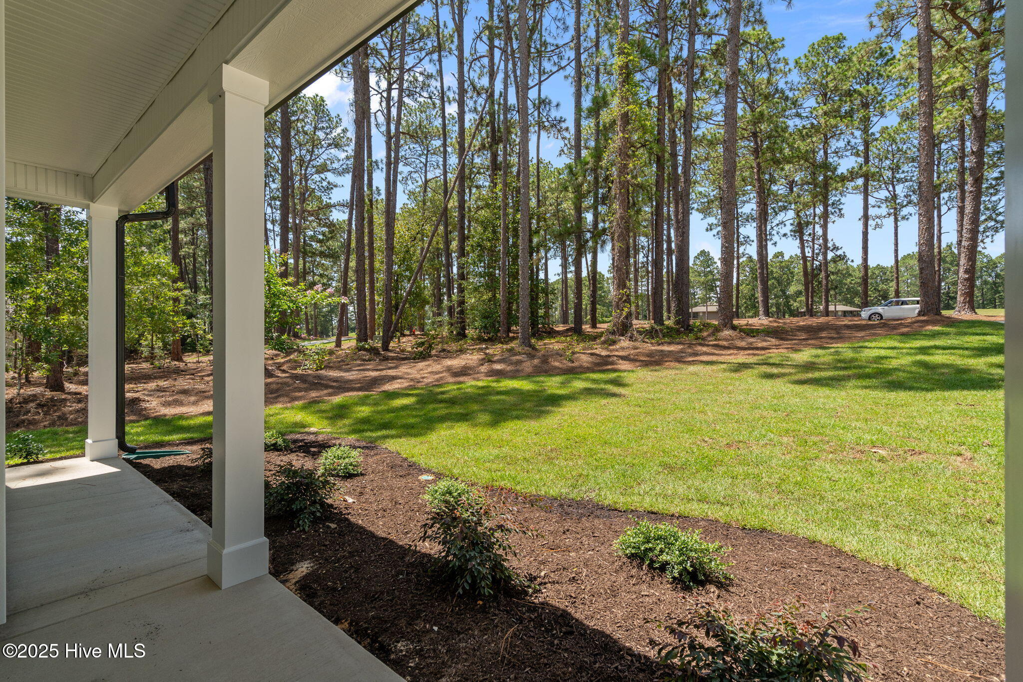 168 Dove Road