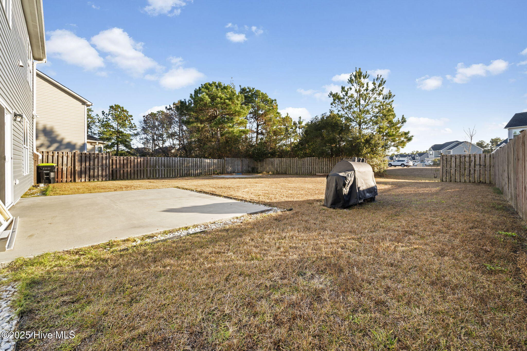 100546539 | Photo 27