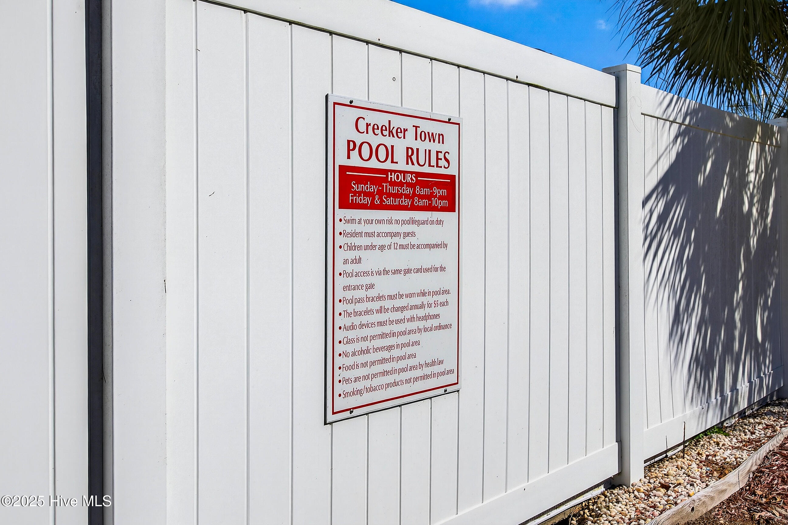 100537244 | Photo 31