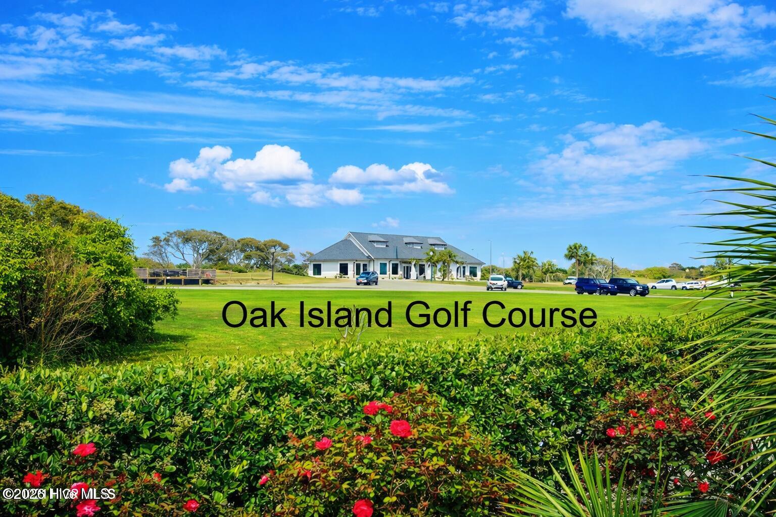 100555403 | Photo 53