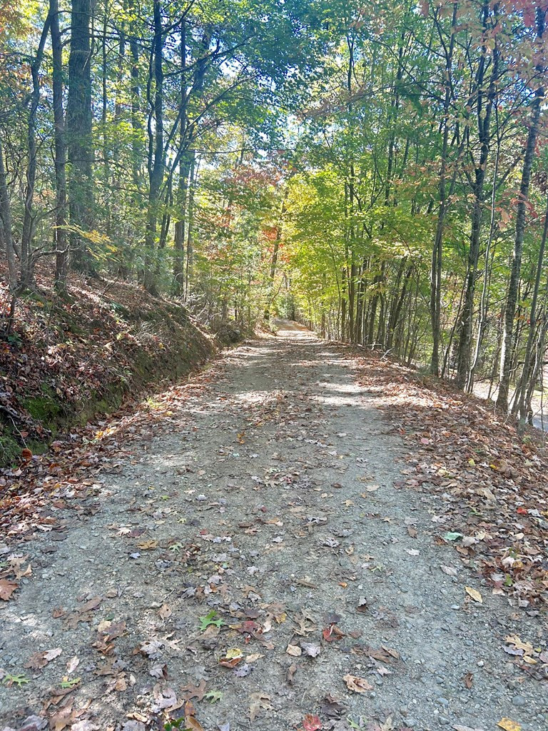 Exterior photo of Lot 4 Ridgeline, Brasstown, NC 28902. MLS: 98544509