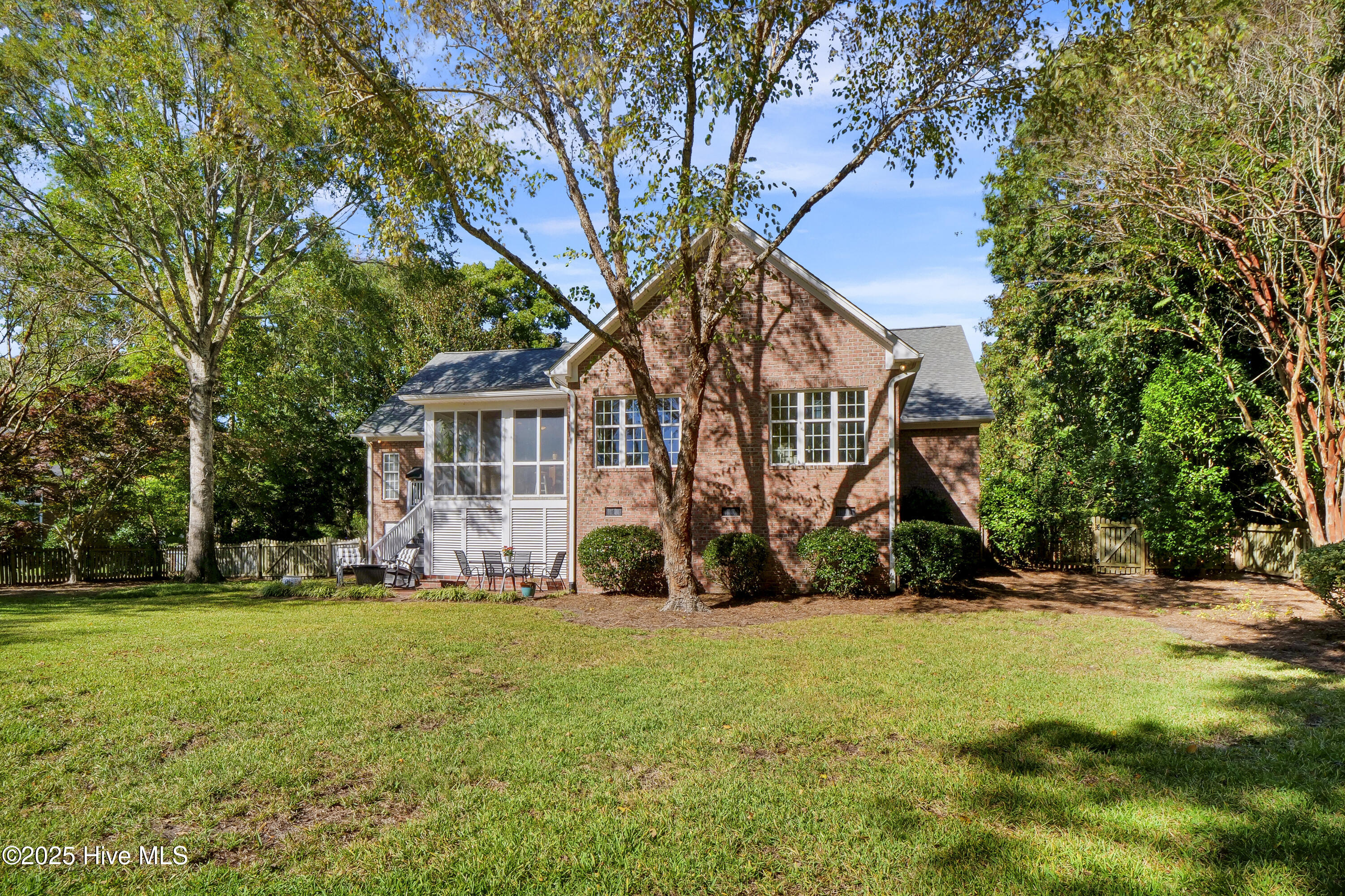 100539062 | Photo 53