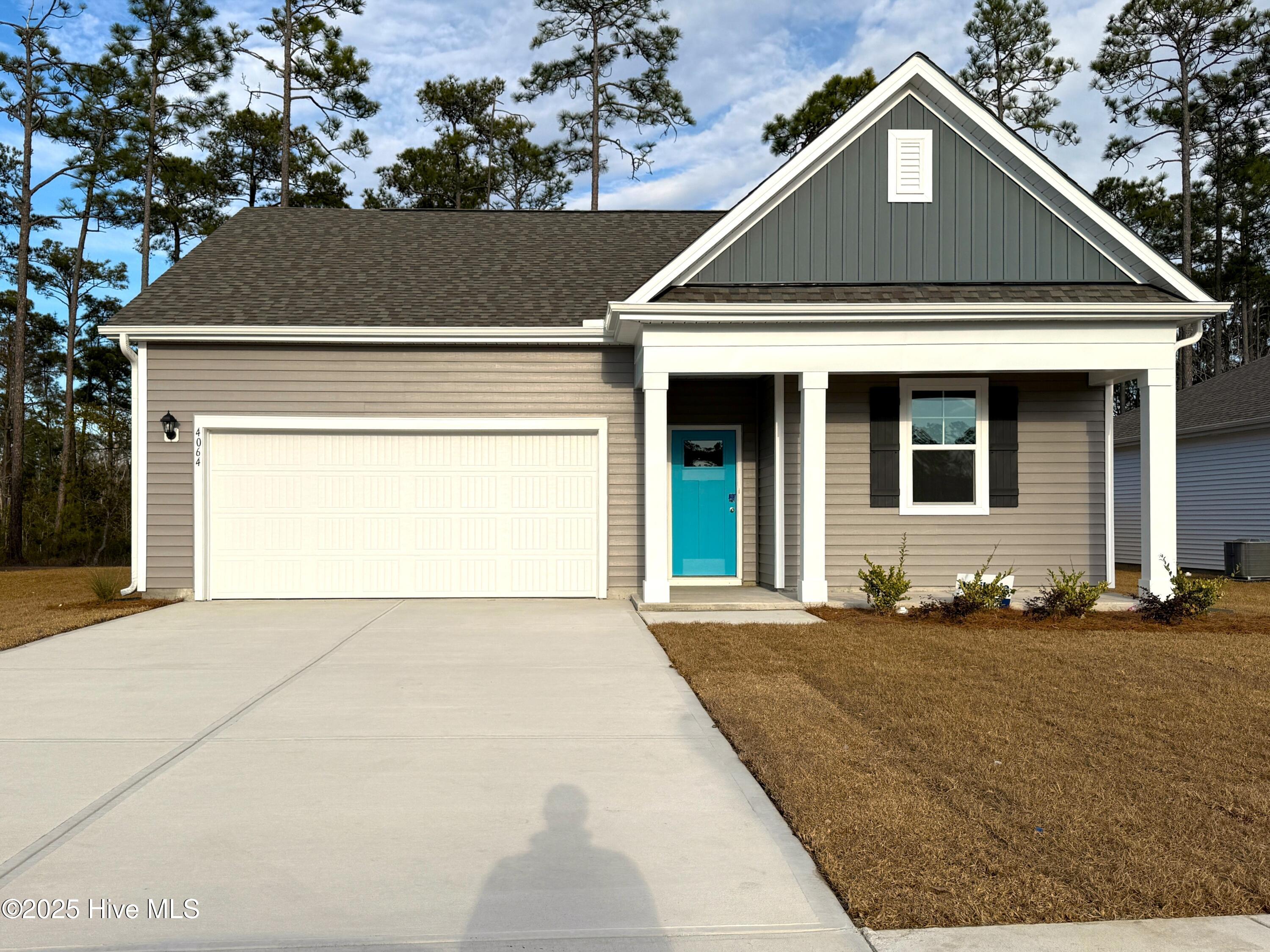 Cali S Morning Light Drive