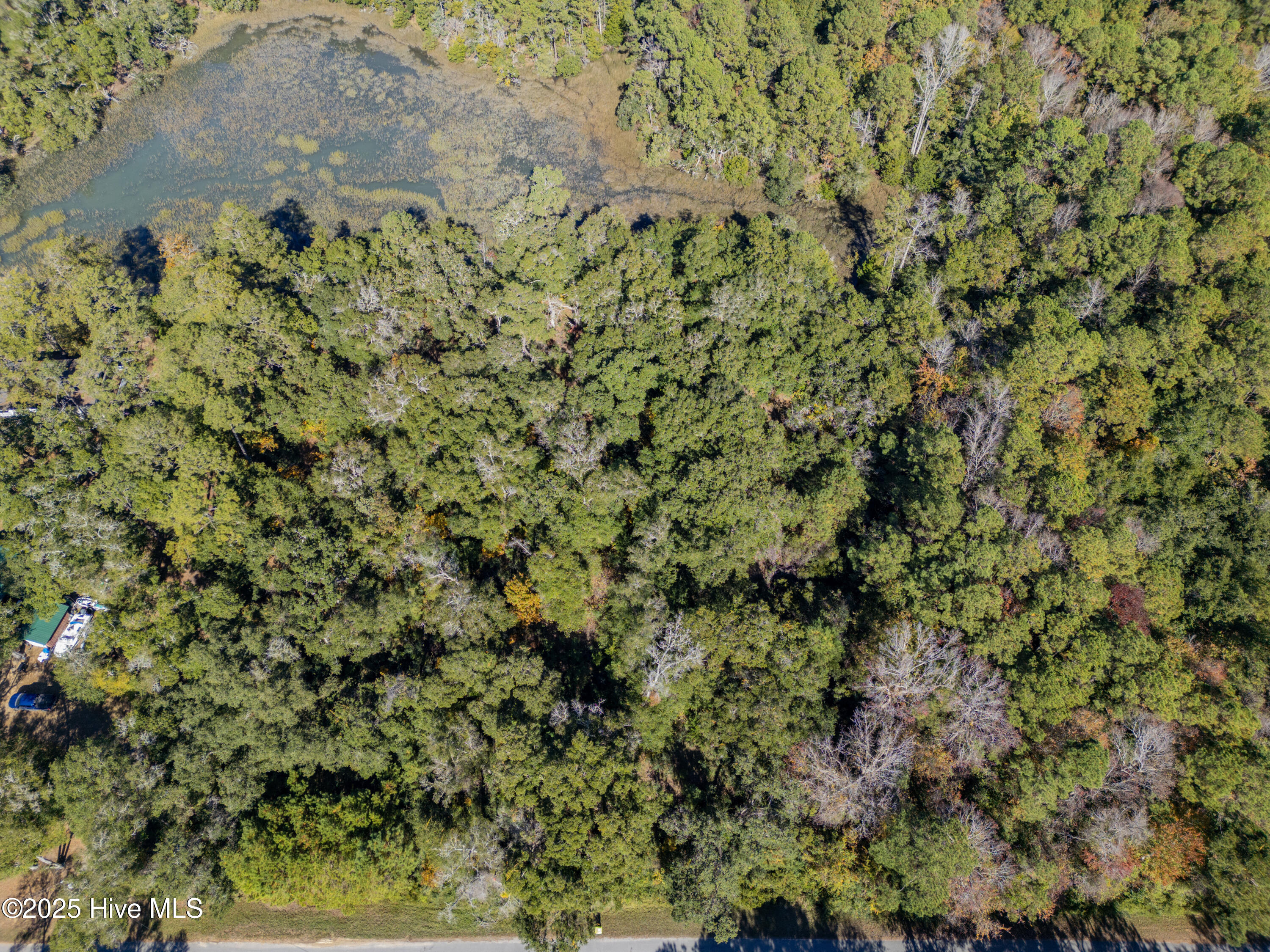 100542715 | Photo 13