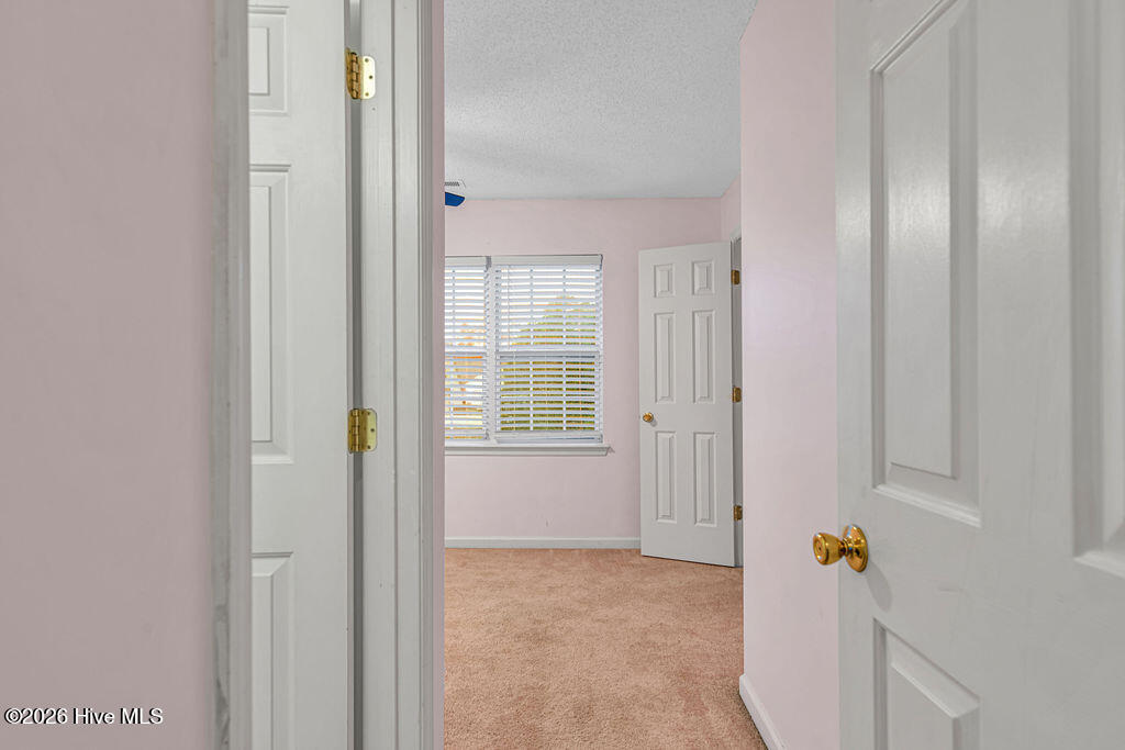 100554315 | Photo 18