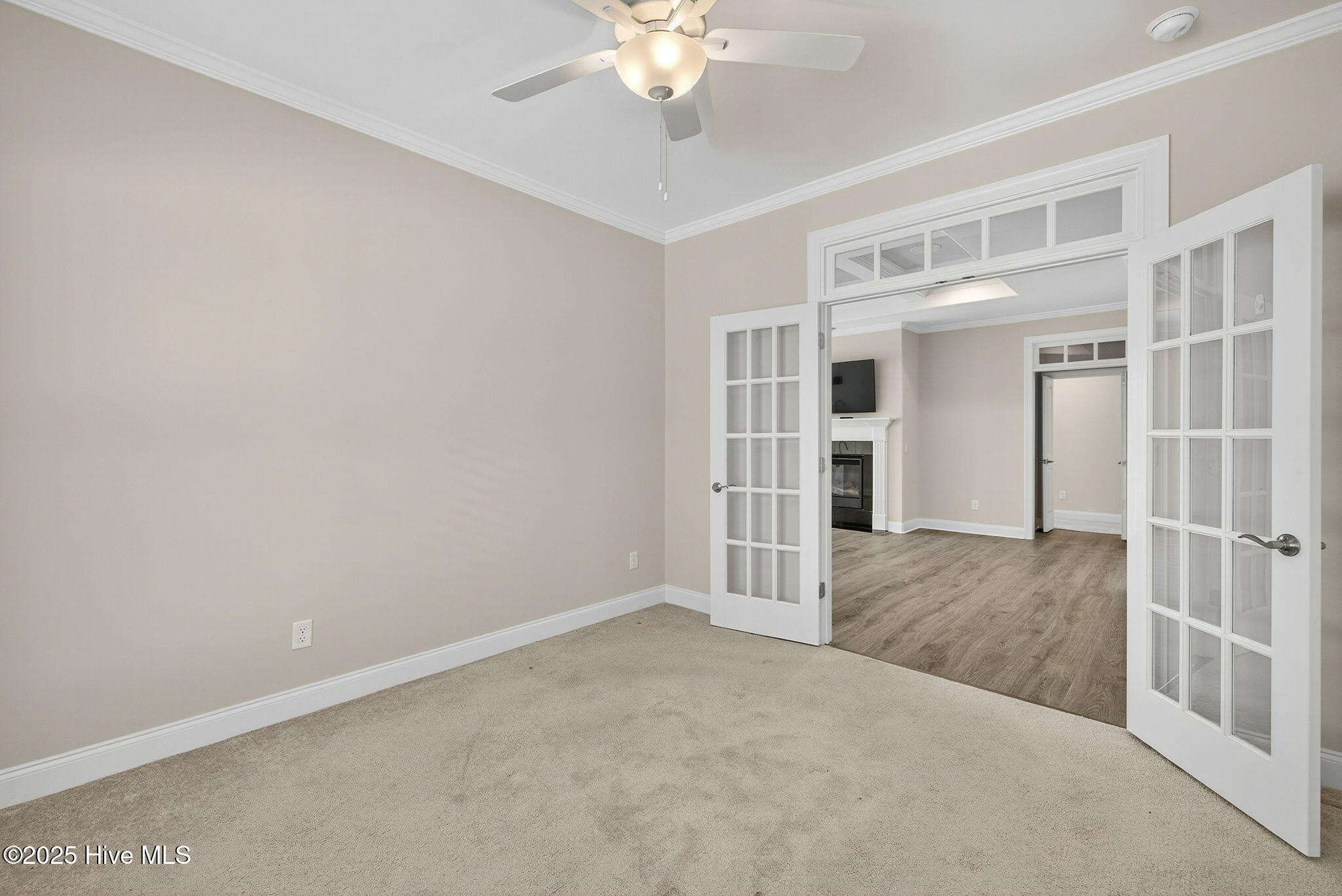 100529139 | Photo 10