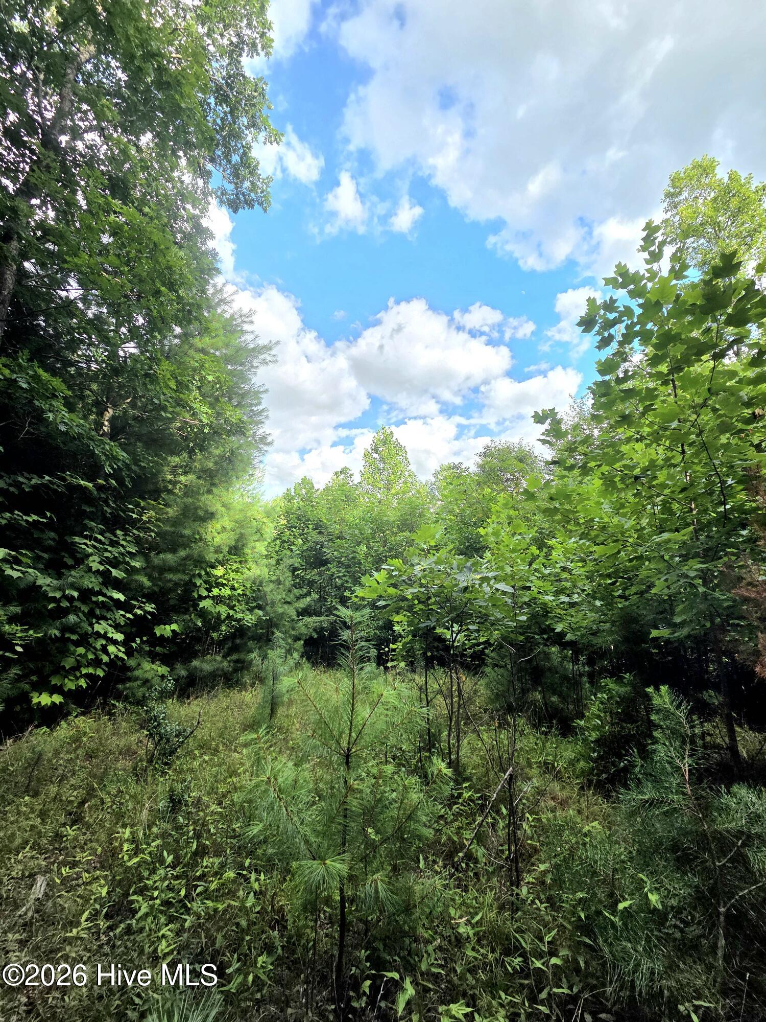 16th image of 50 Camp Branch Rd, Topton, NC 28781 | MLS# 100590283