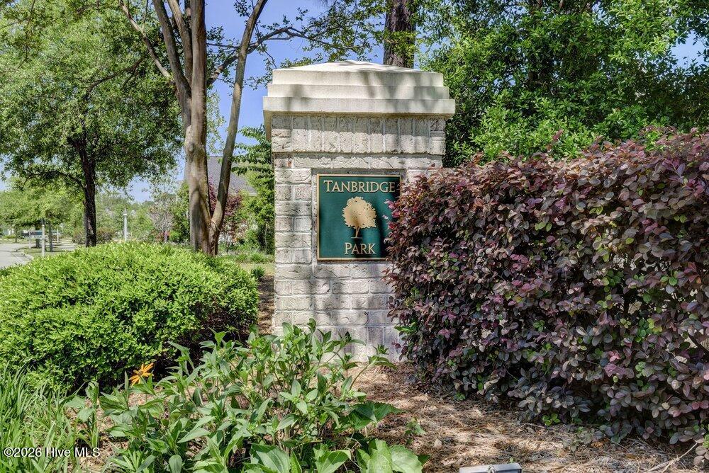 100550576 | Photo 64