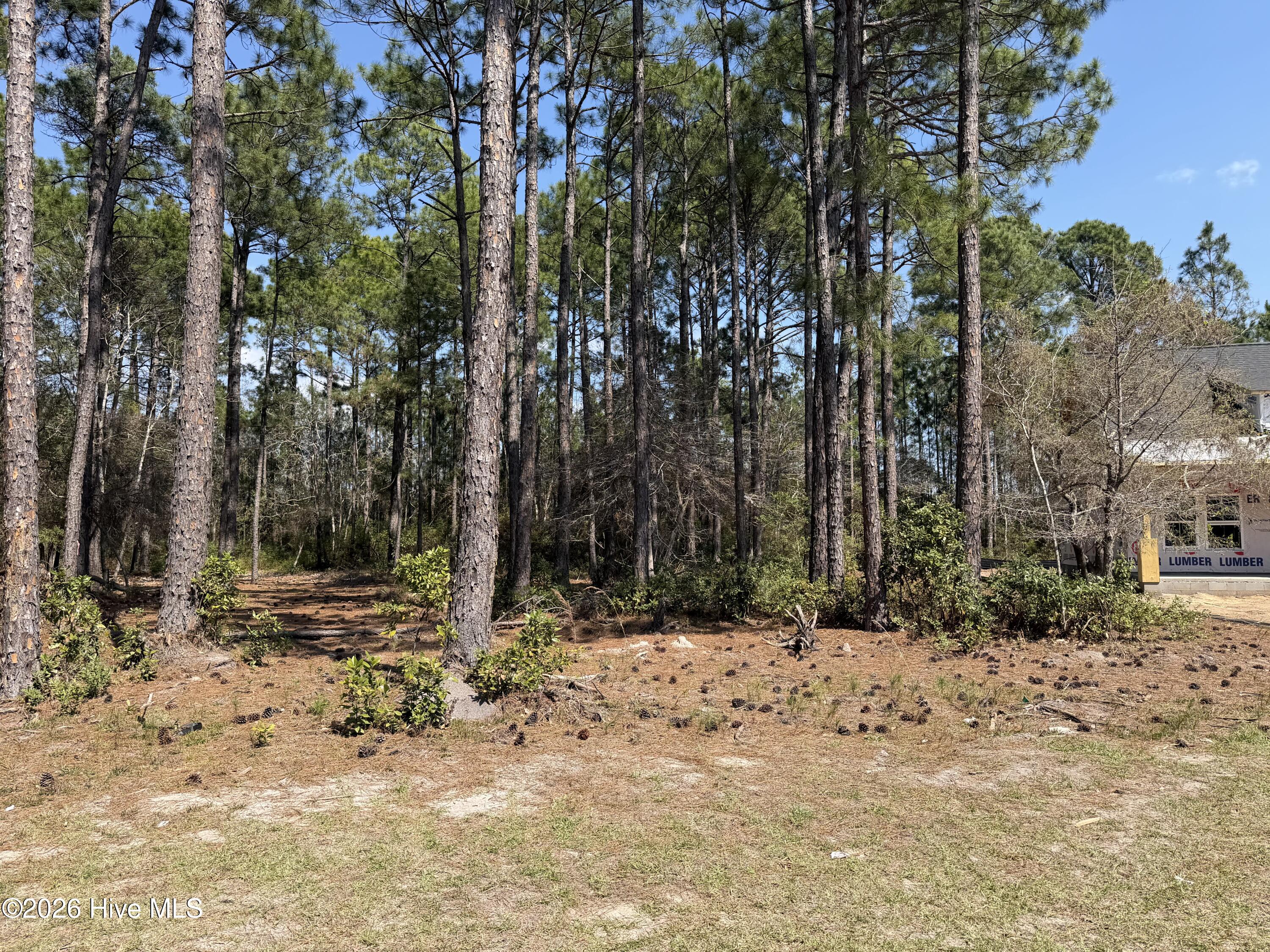 6786 Holton Place, Ocean Isle Beach, NC, 28469