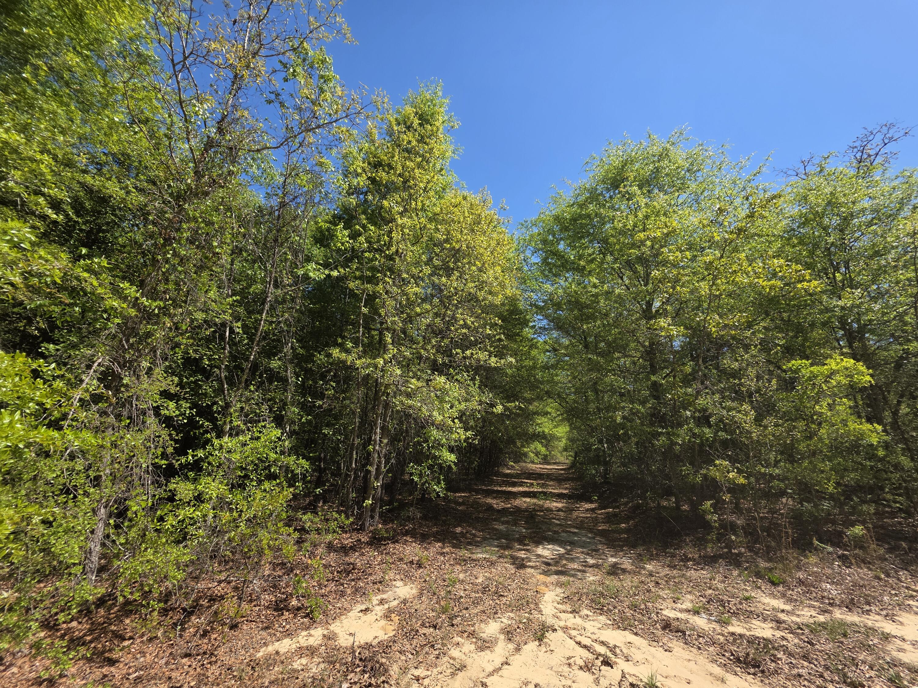Lot 8 Quail Drive, Plymouth, NC, 27962