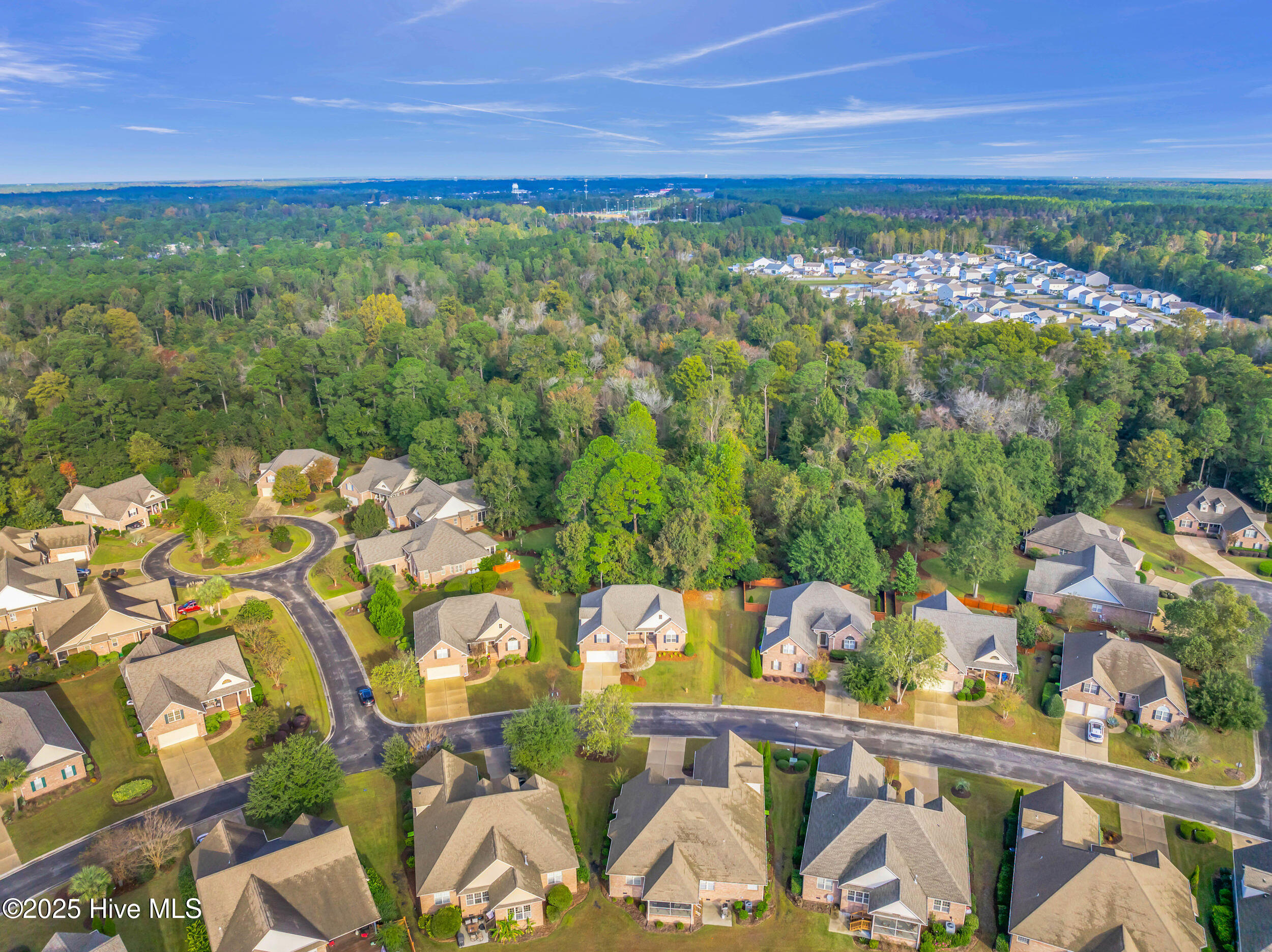 100539518 | Photo 49