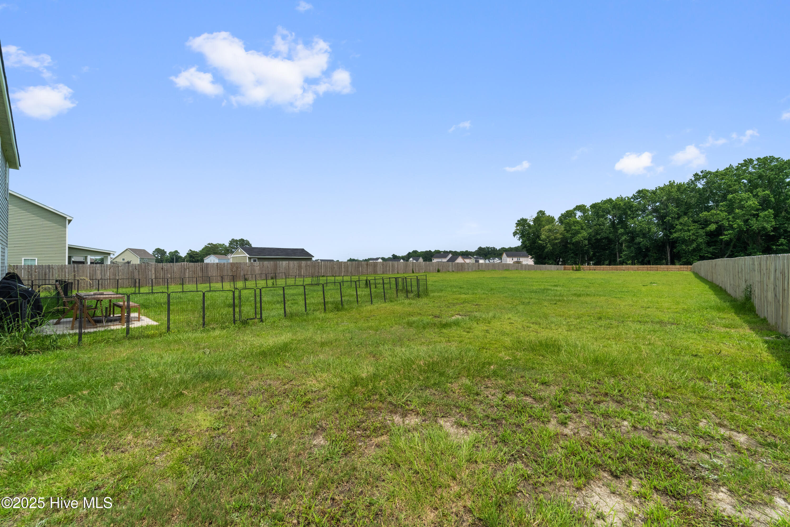 100533820 | Photo 49