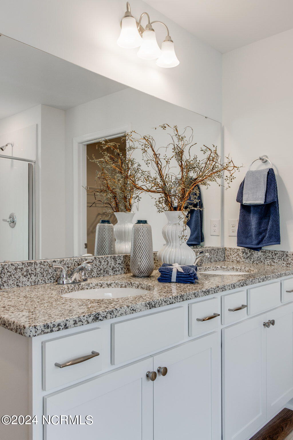 100556823 | Photo 18