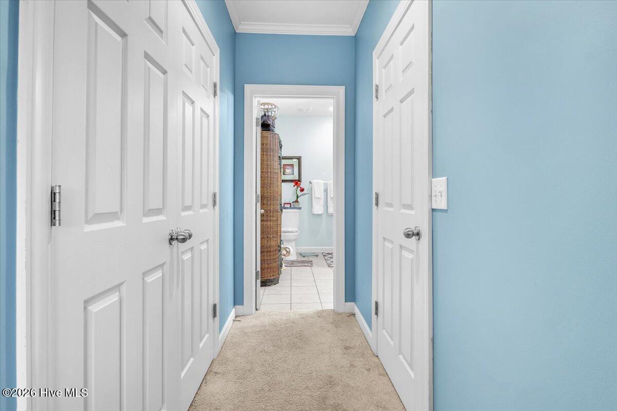 100557211 | Photo 12