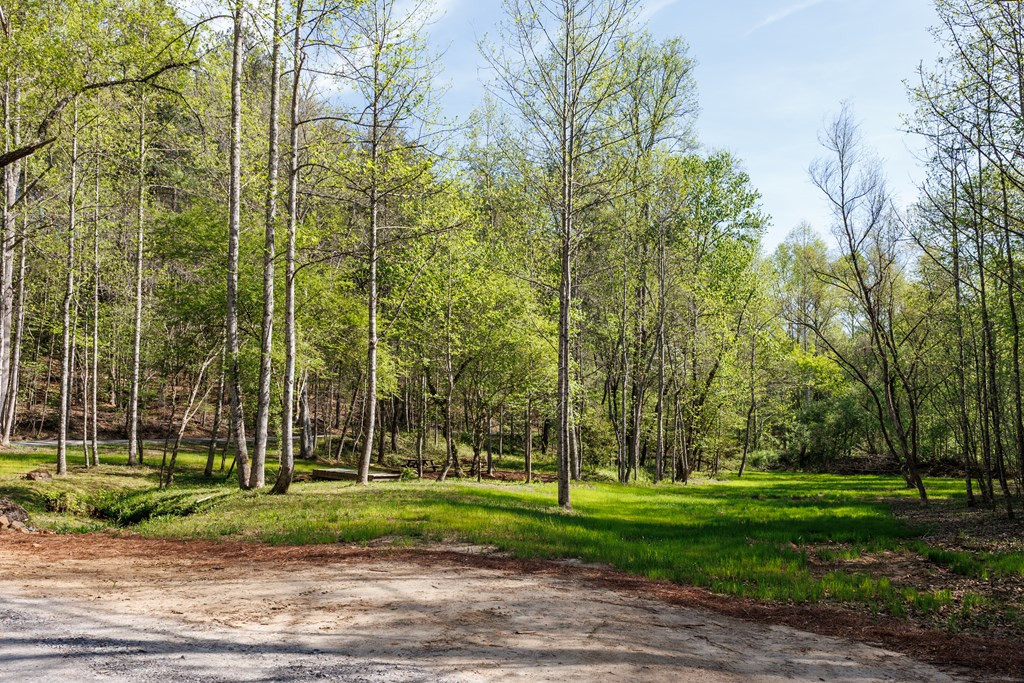 342 Hunter Ridge, Murphy, NC 28906 Listing Photo  67
