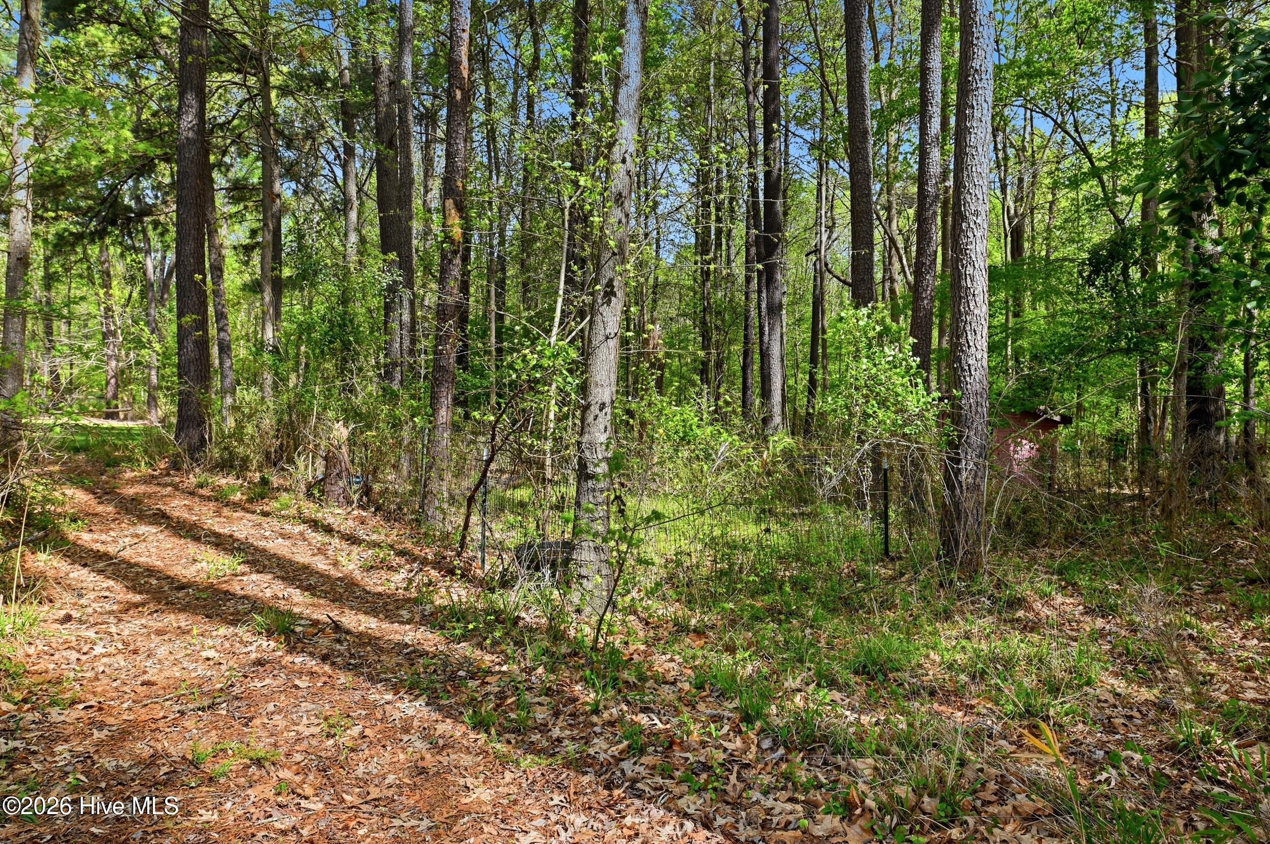 2639 Nc Highway 211, Clarkton, NC, 28433