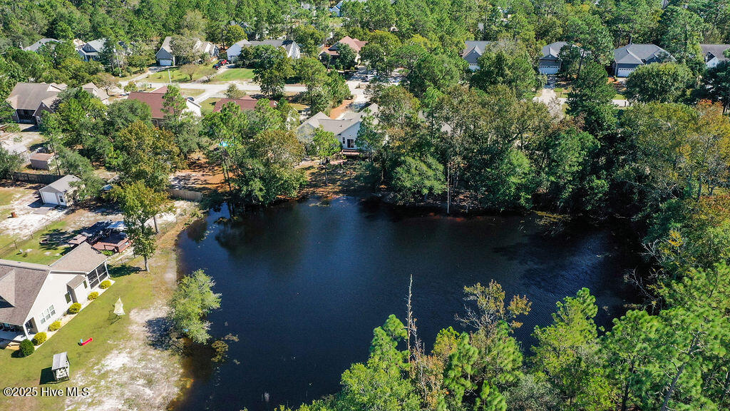 100536822 | Photo 40