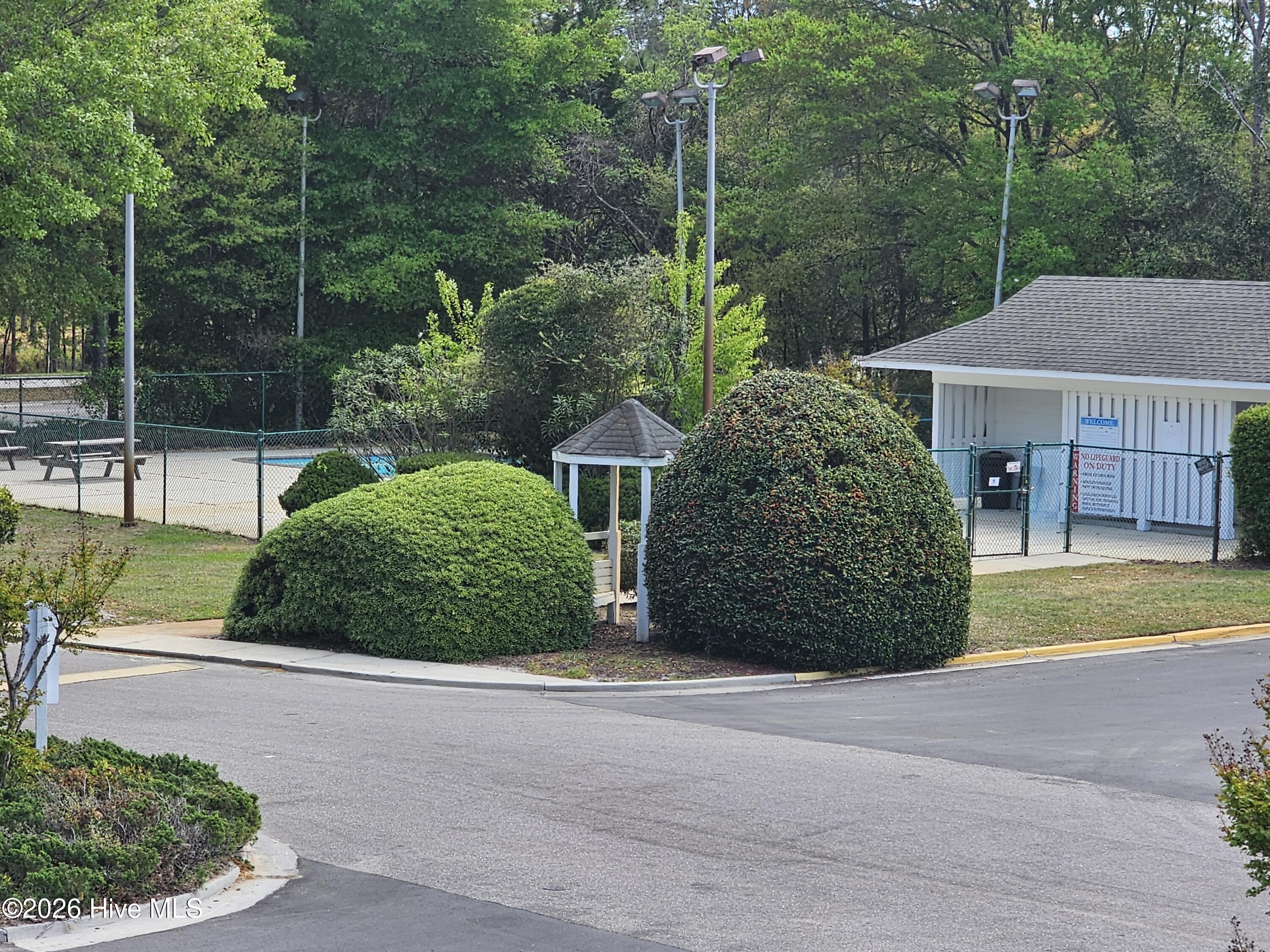 100564512 | Photo 21