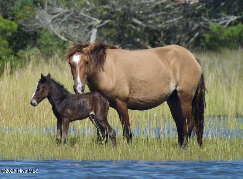 1524 Ann Street, Beaufort, NC, 28516