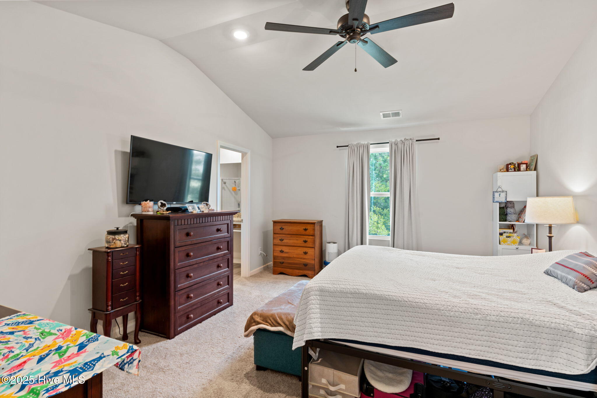 100515817 | Photo 15