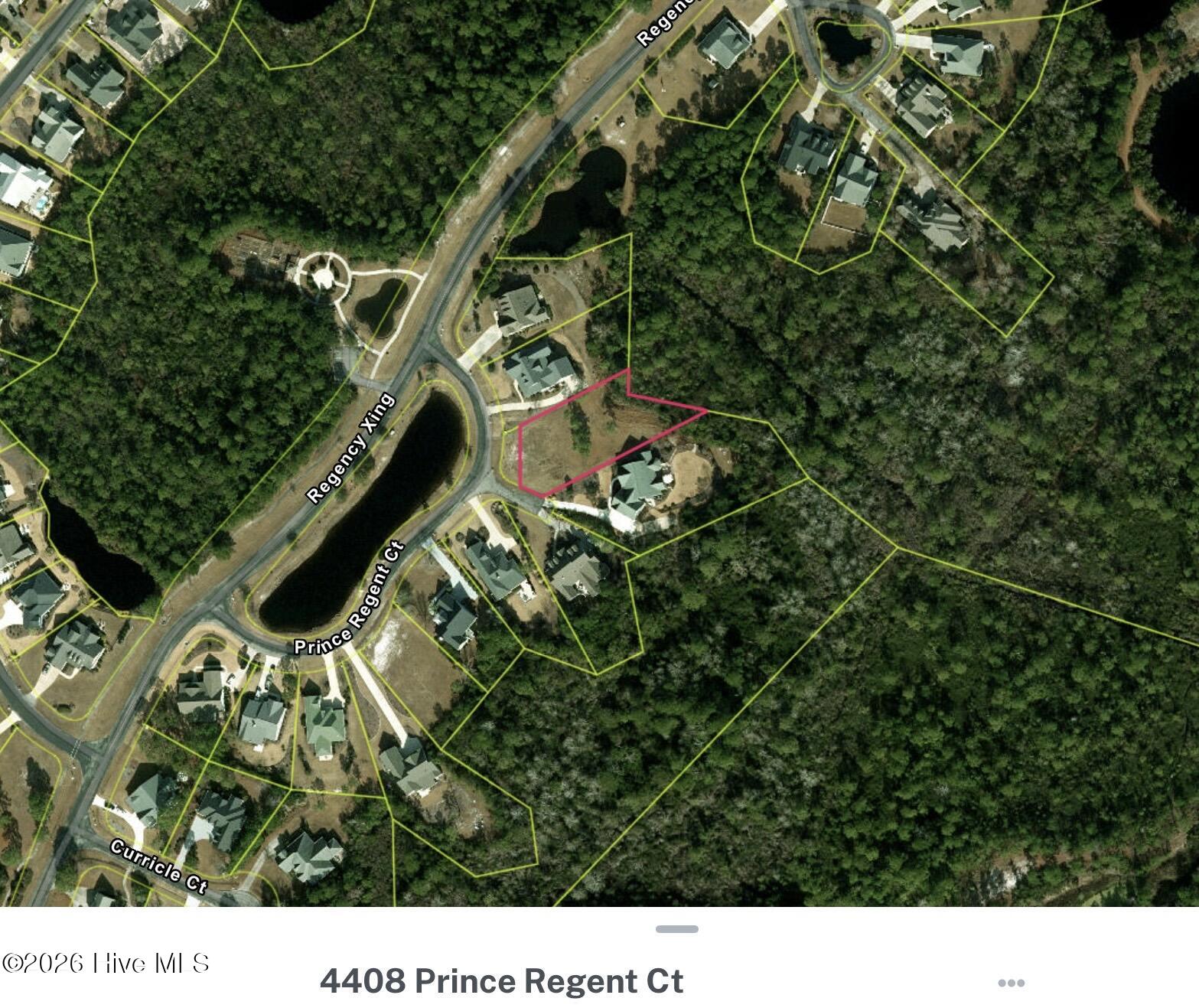 100558707 | Photo 18