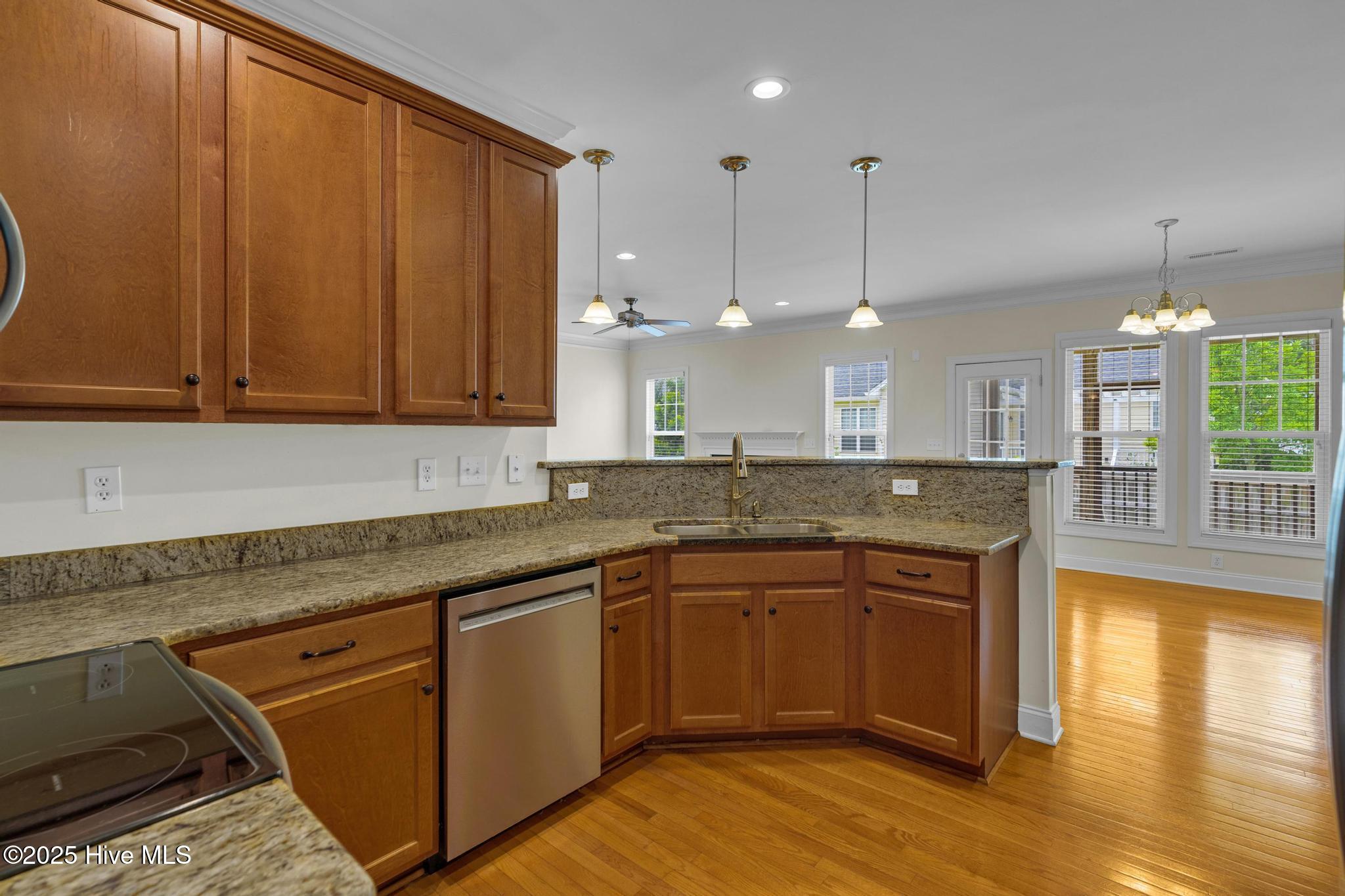 100513832 | Photo 12