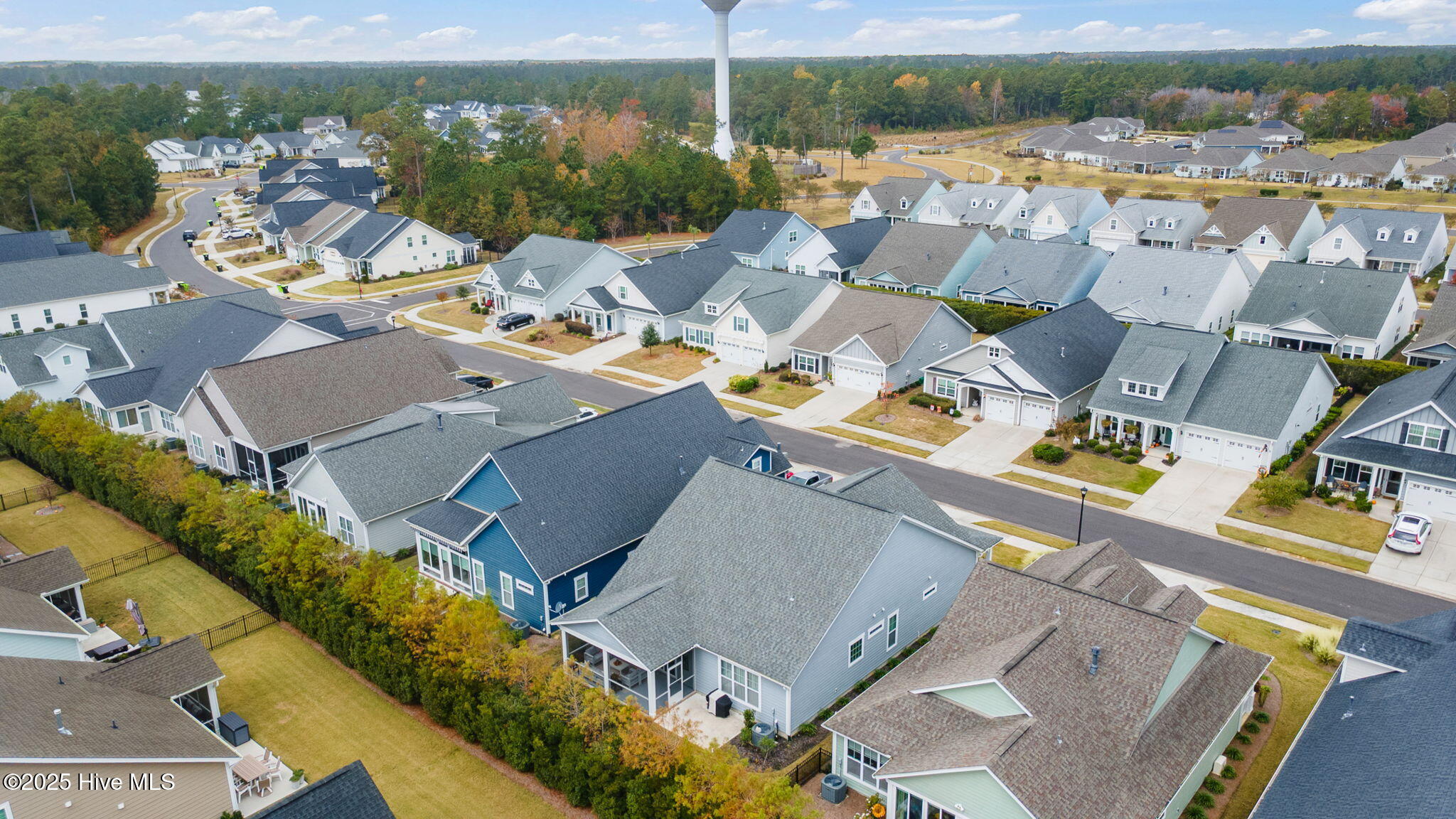 100541268 | Photo 51