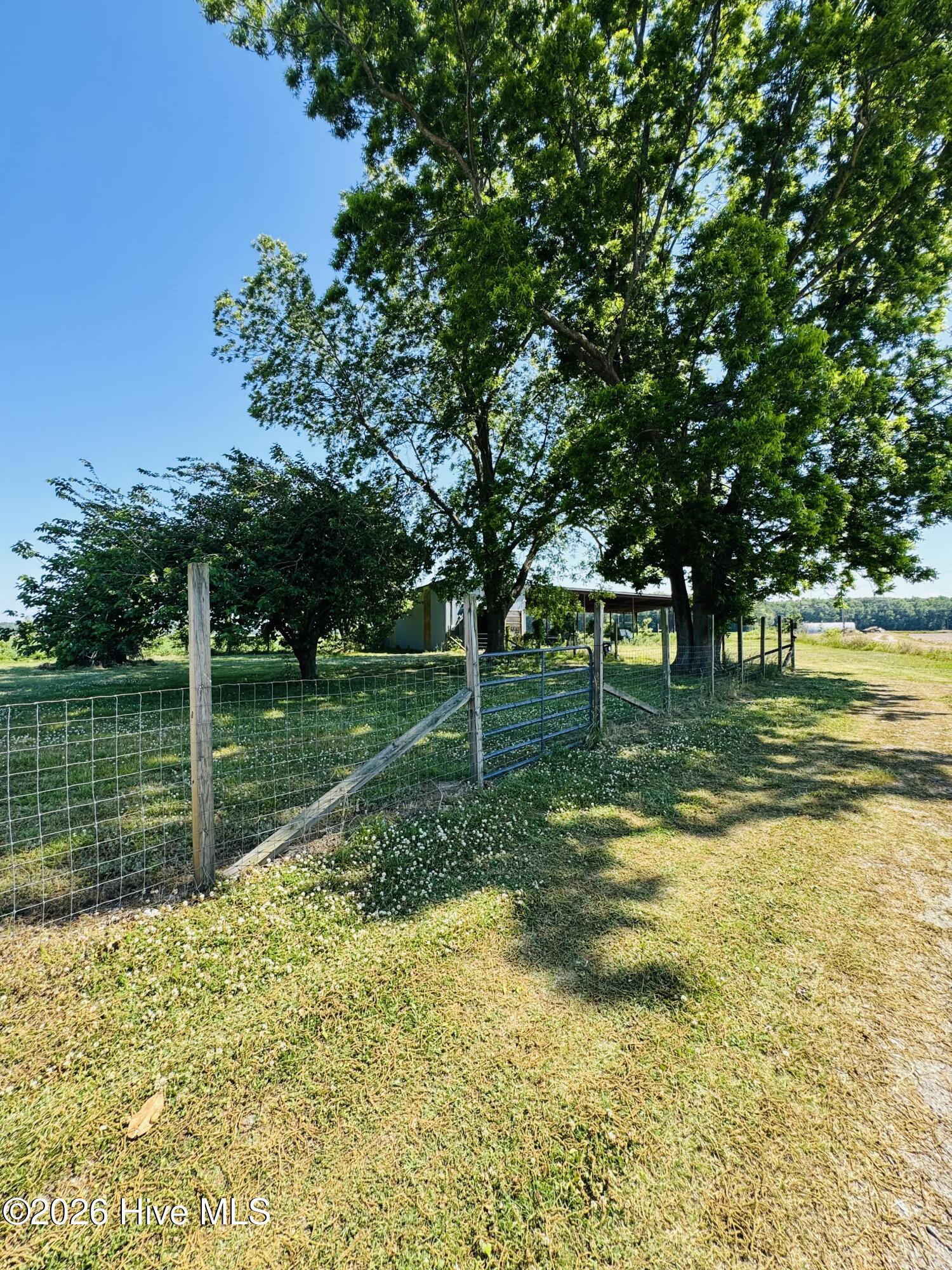 Back fenced yard