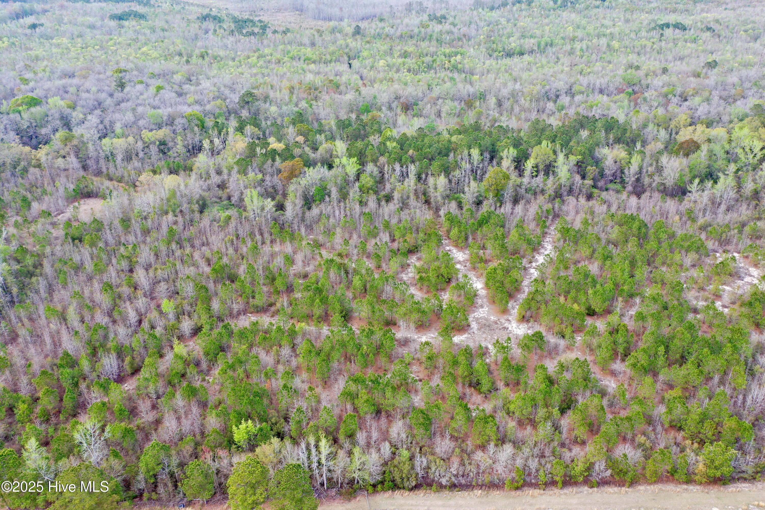 100498025 | Photo 10