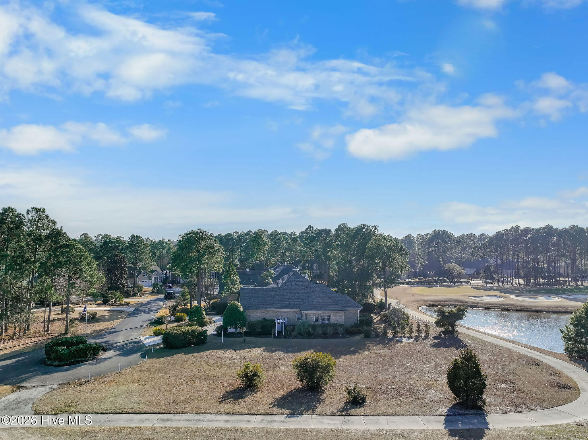 100554369 | Photo 43