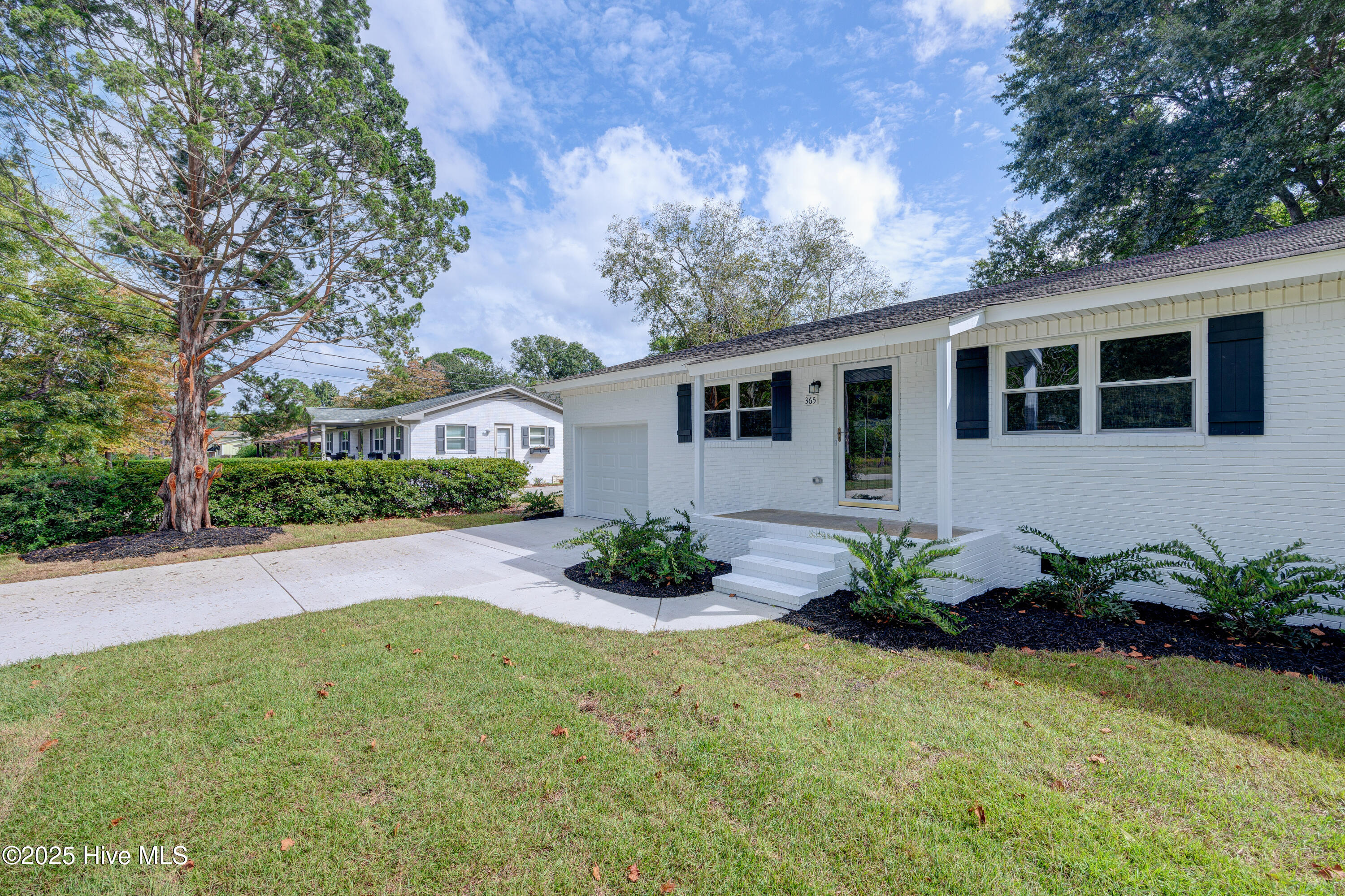 100534169 | Photo 45