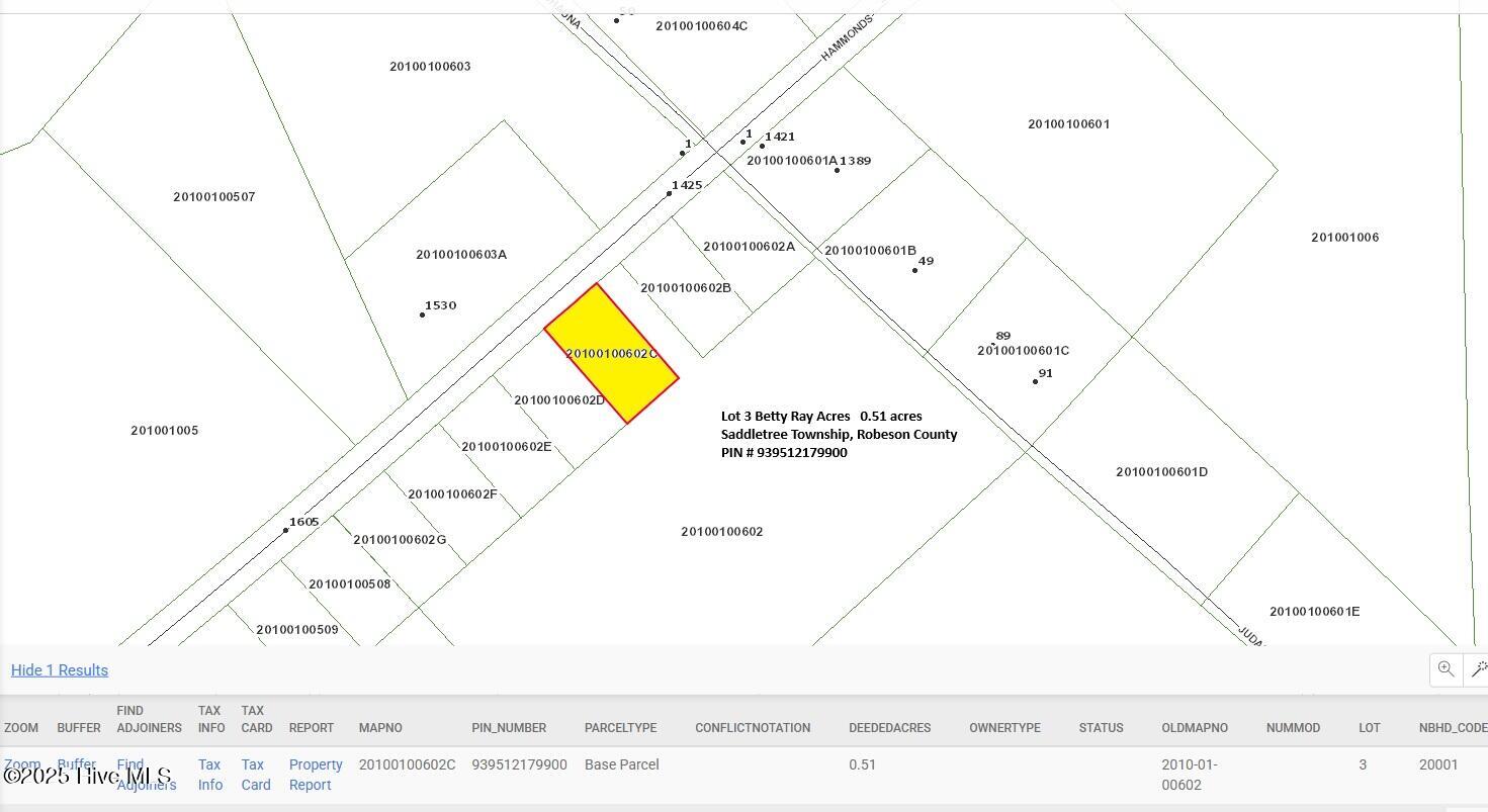 Lot 3 Betty Ray Acres GIS Map