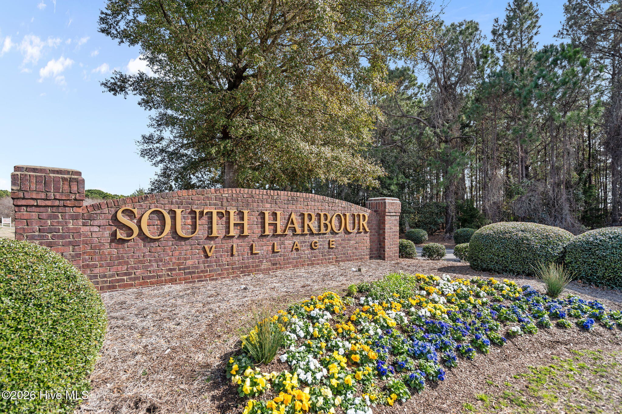 100556282 | Photo 50