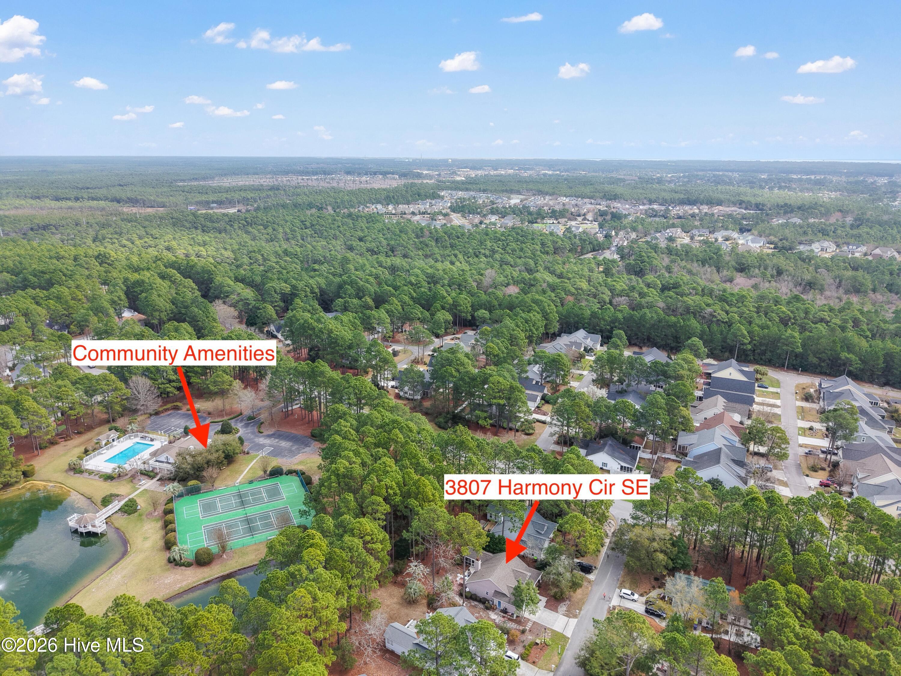 100559952 | Photo 51