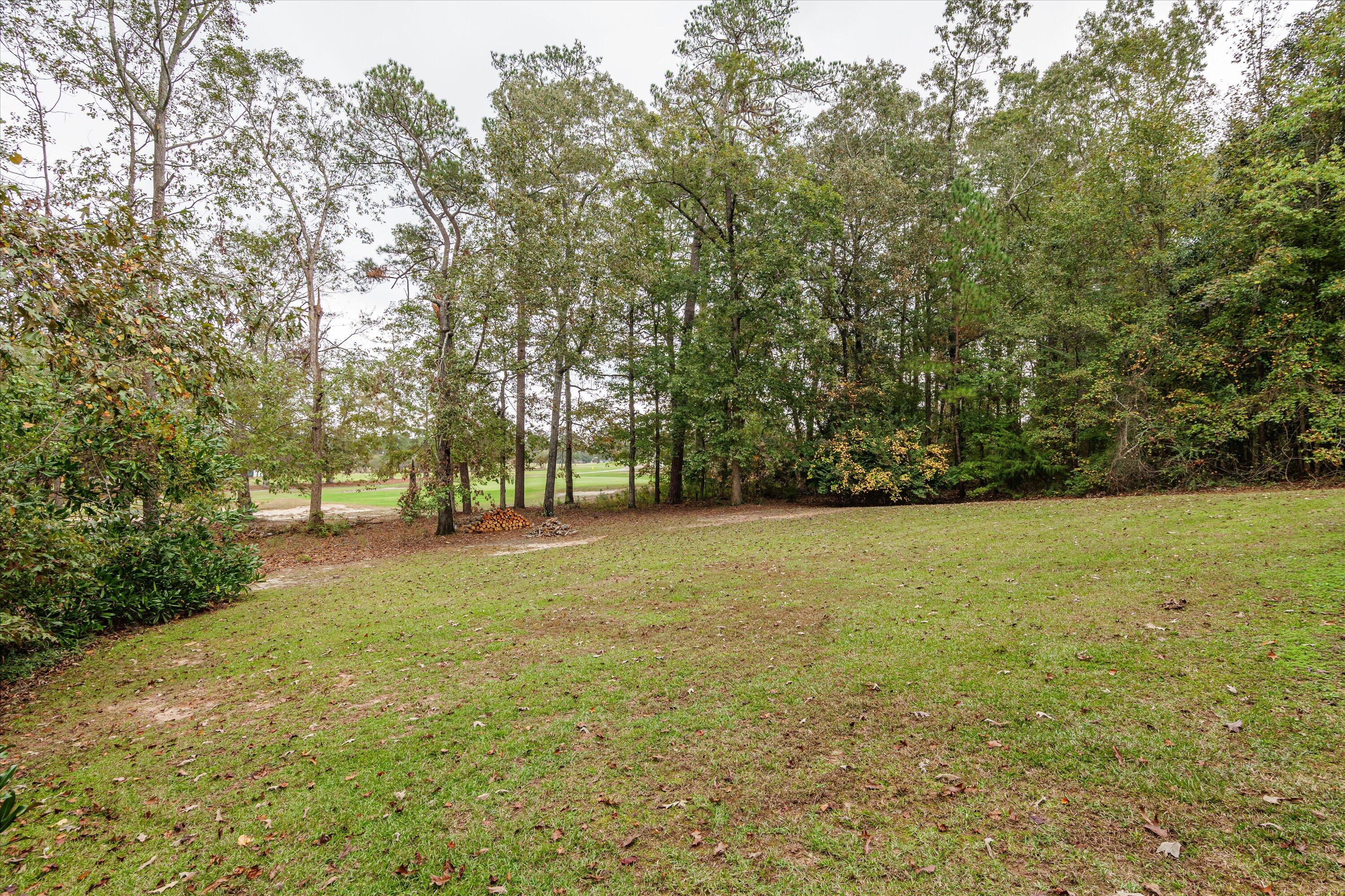 back yard
