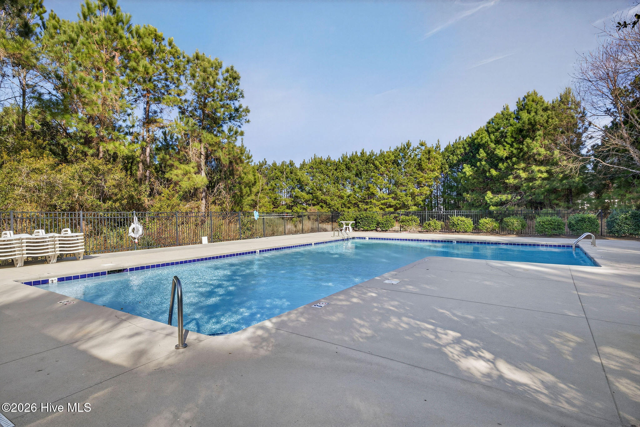 100547189 | Photo 54