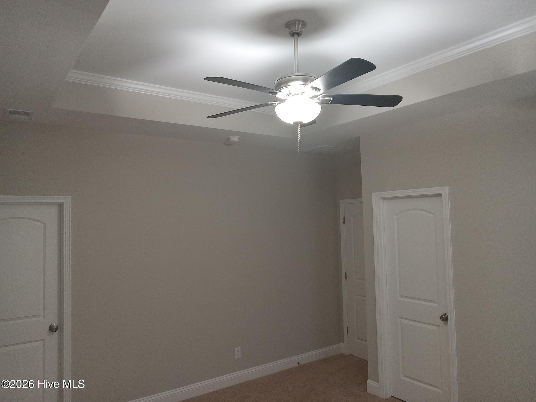 100521963 | Photo 11