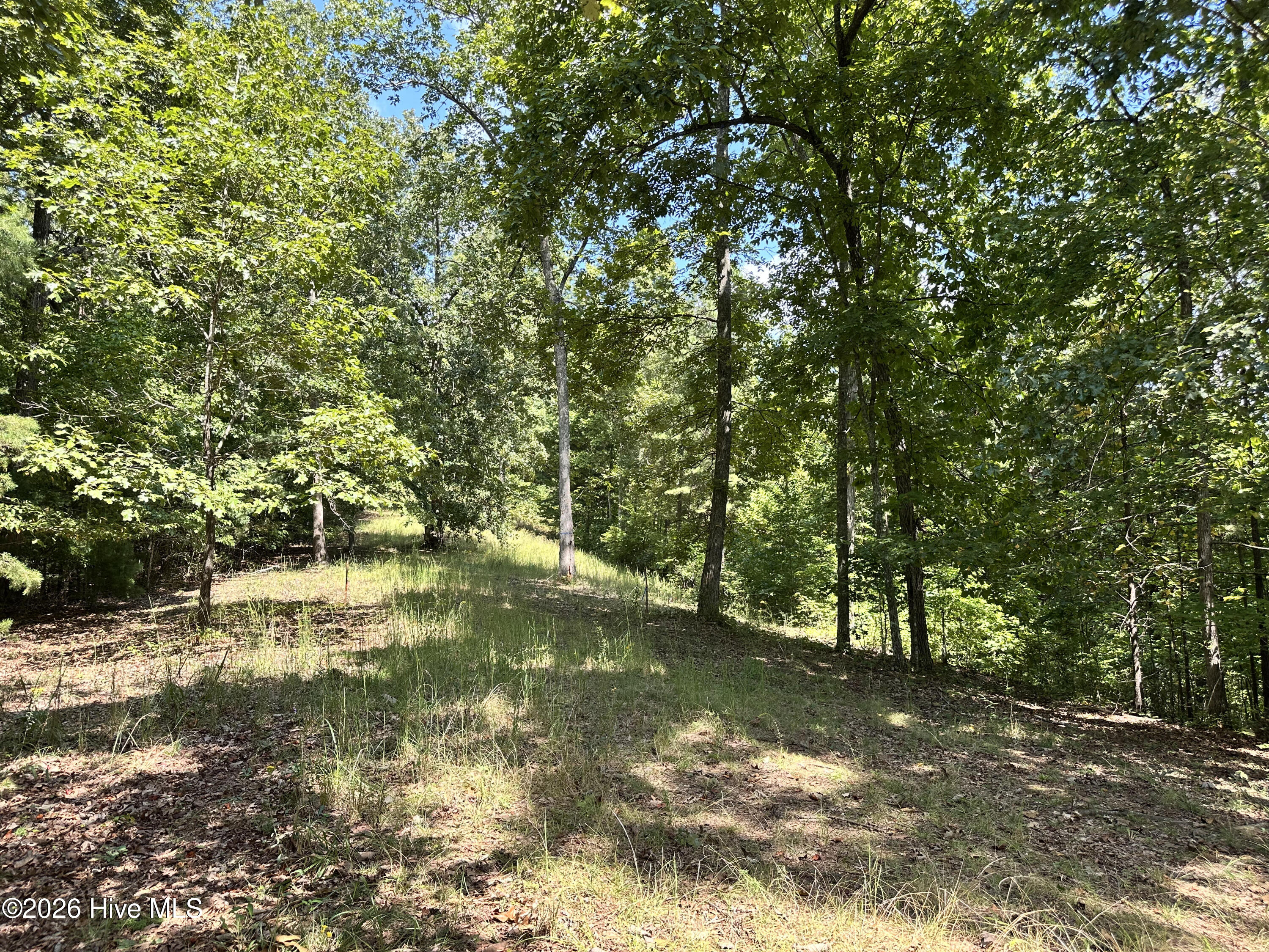 100604149 | Photo 2